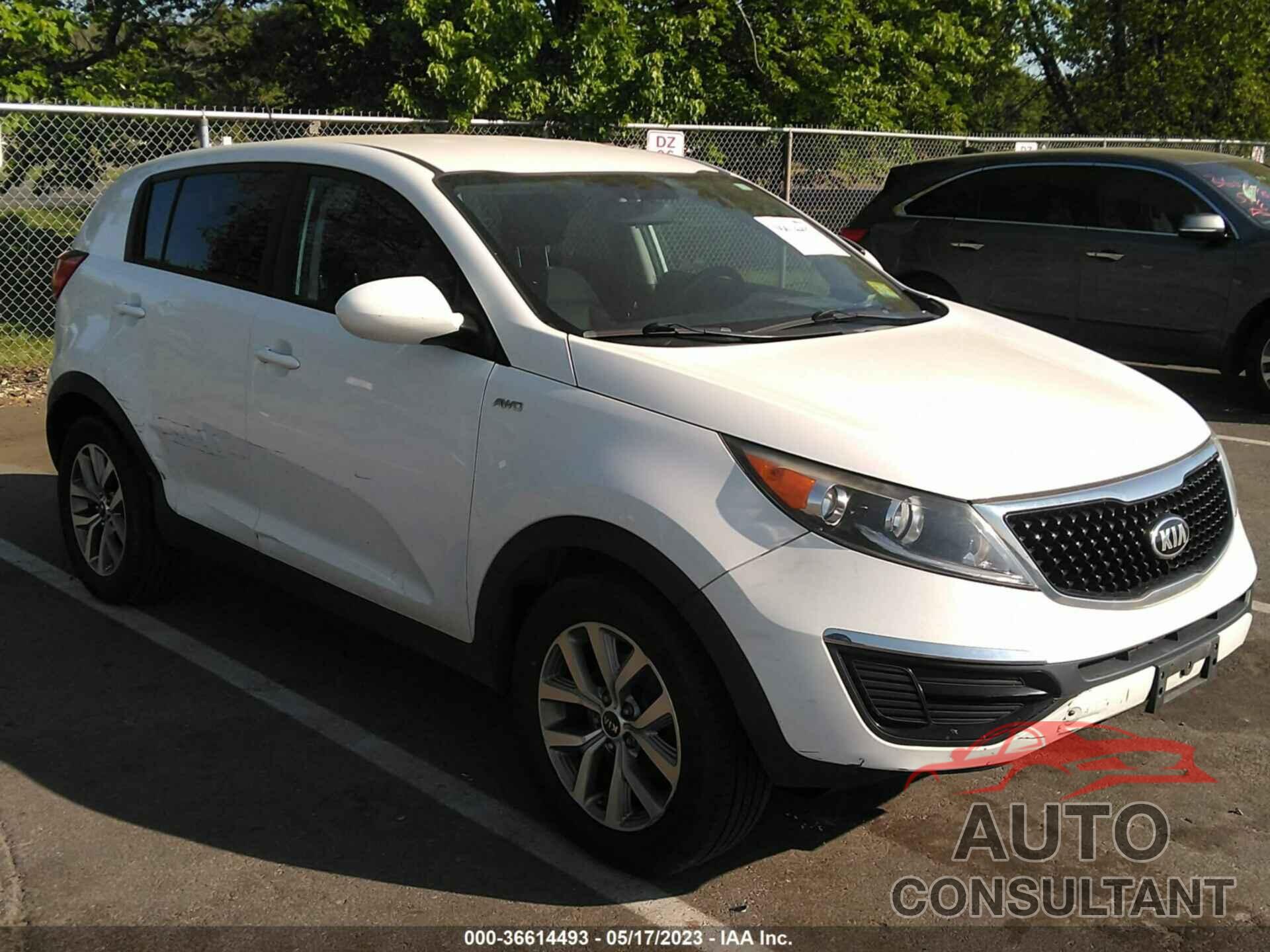 KIA SPORTAGE 2016 - KNDPBCAC4G7835829