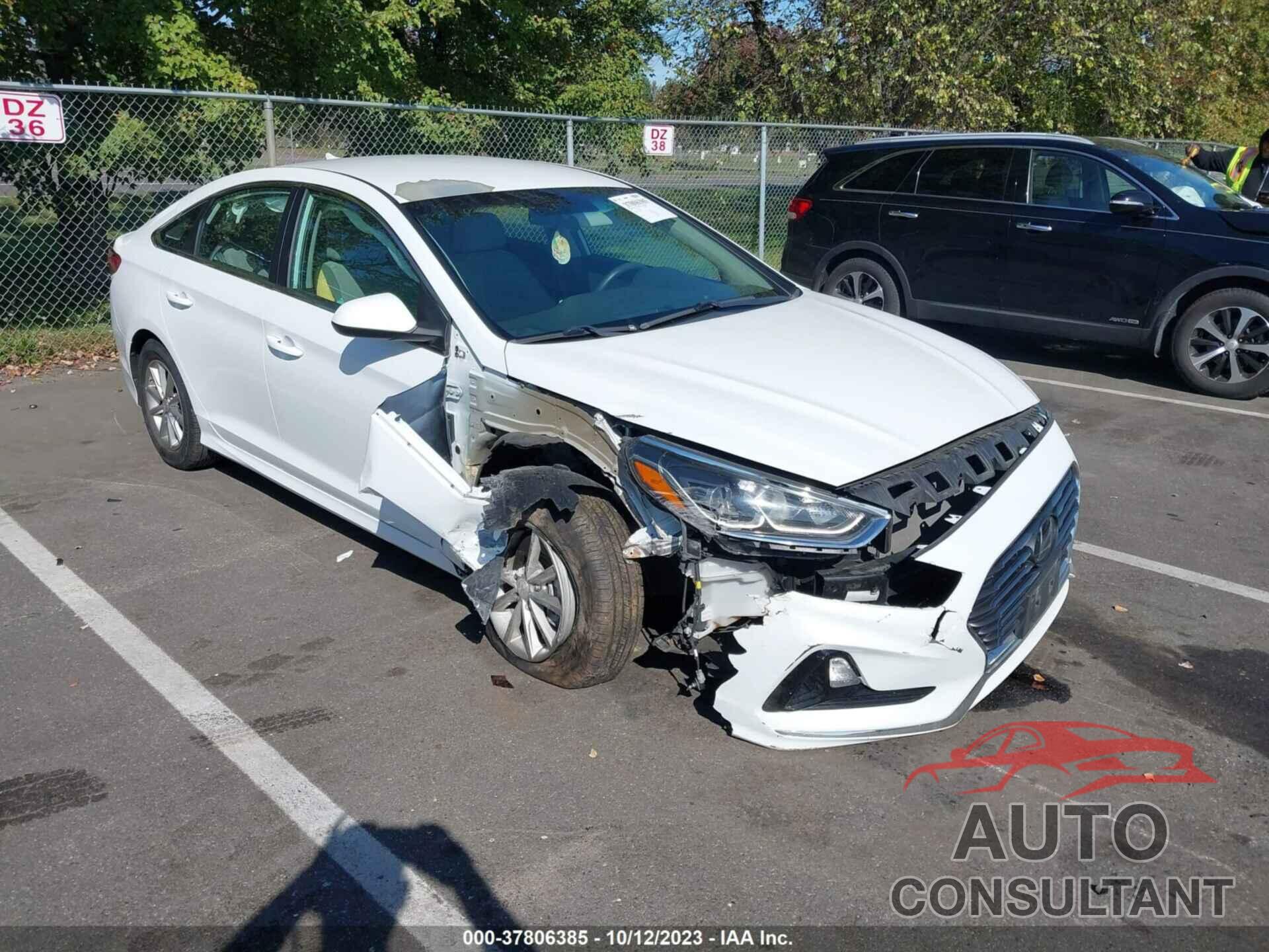 HYUNDAI SONATA 2019 - 5NPE24AF2KH789400