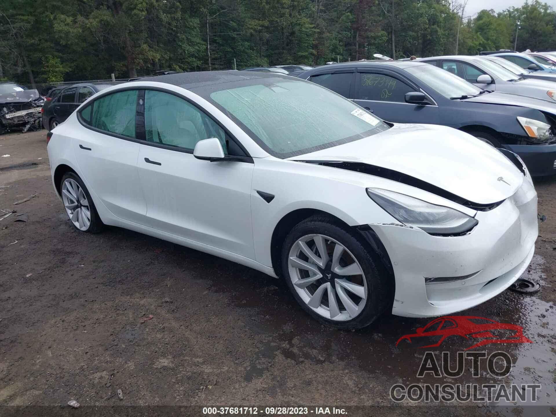 TESLA MODEL 3 2019 - 5YJ3E1EB7KF513345
