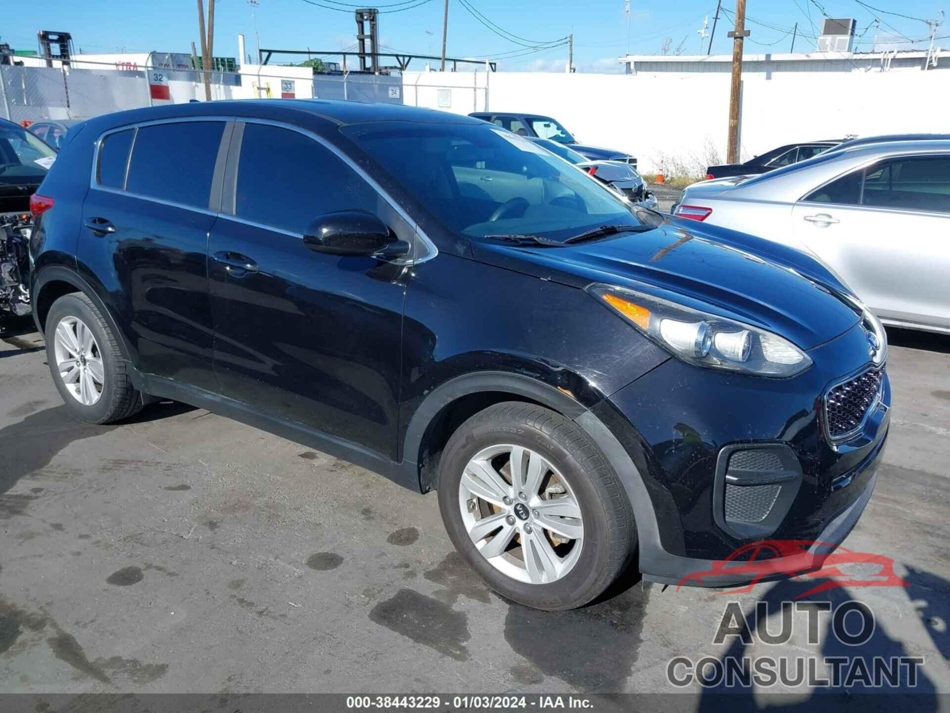 KIA SPORTAGE 2017 - KNDPM3AC1H7299210