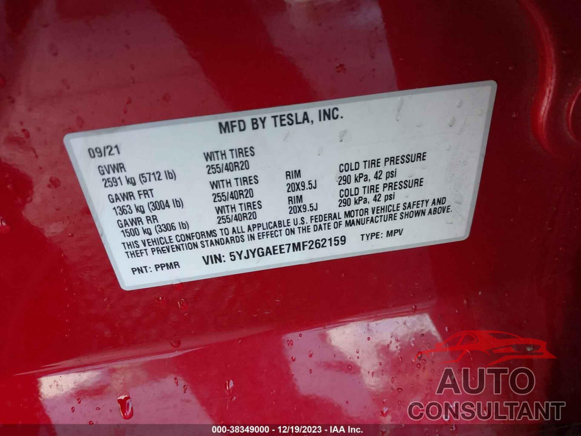 TESLA MODEL Y 2021 - 5YJYGAEE7MF262159