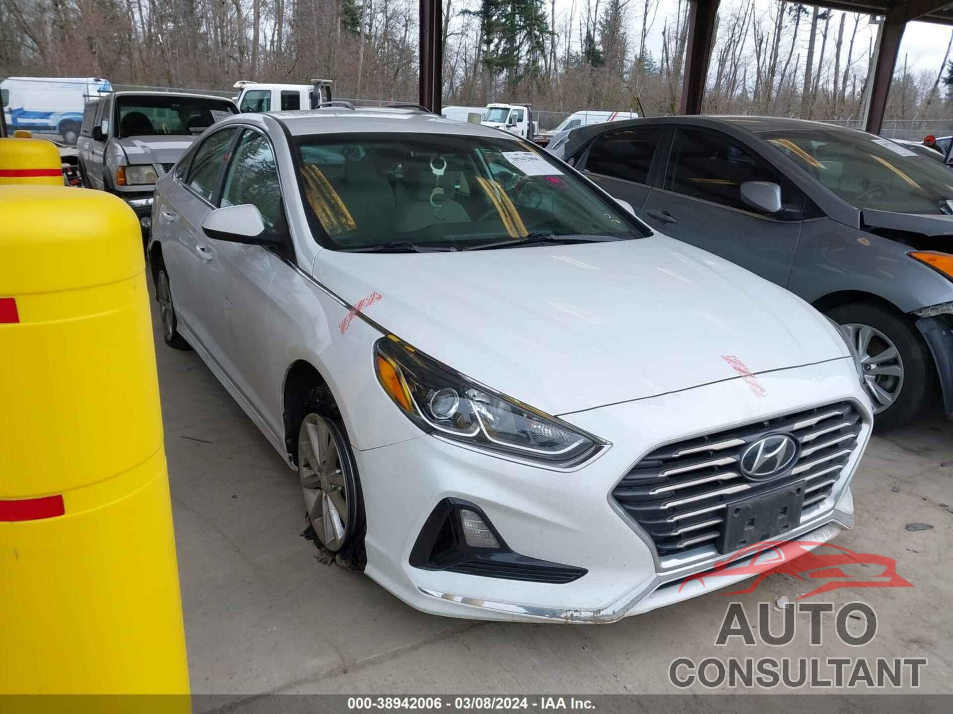 HYUNDAI SONATA 2019 - 5NPE24AF6KH745142