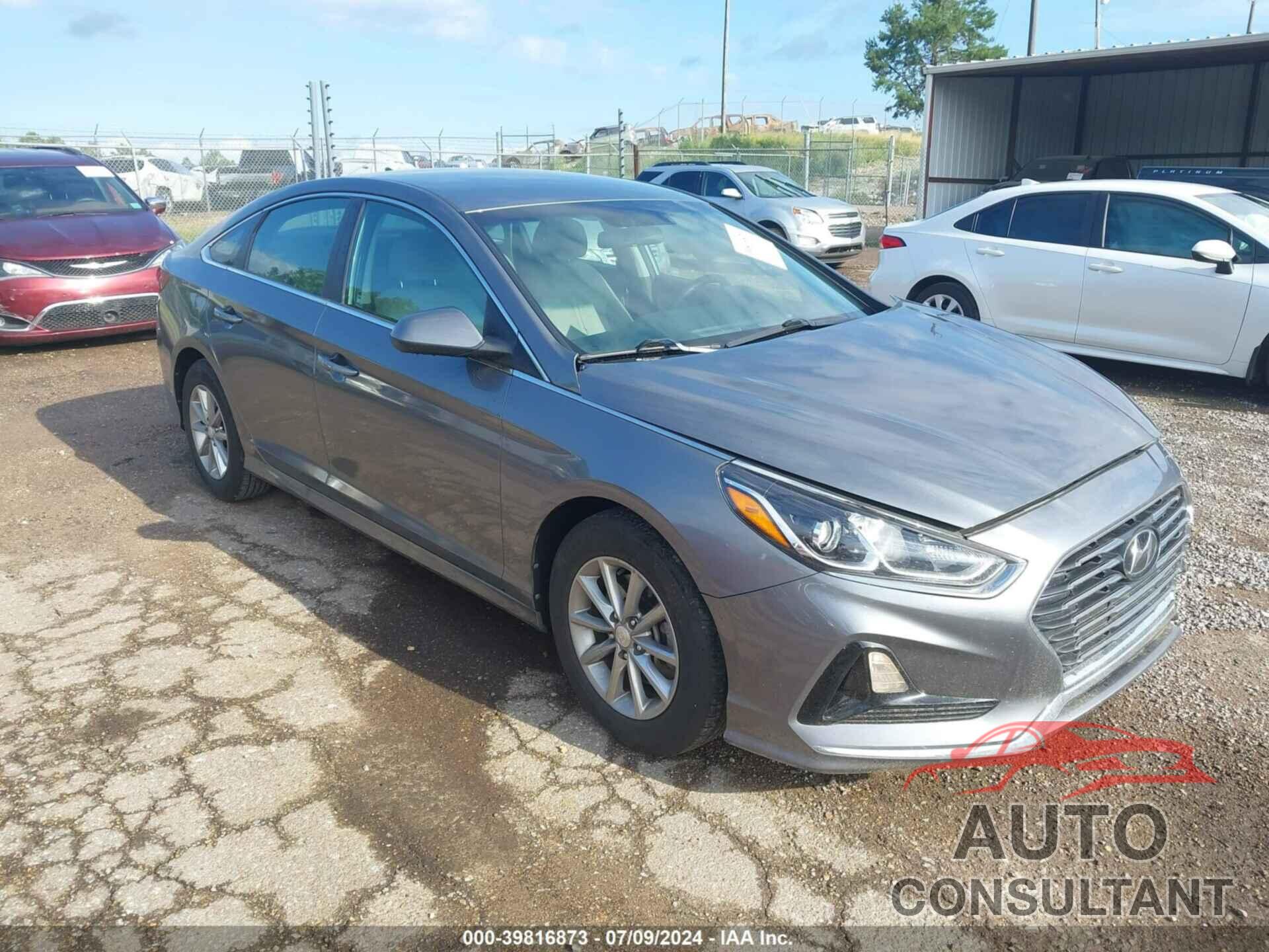 HYUNDAI SONATA 2019 - 5NPE24AF8KH770818