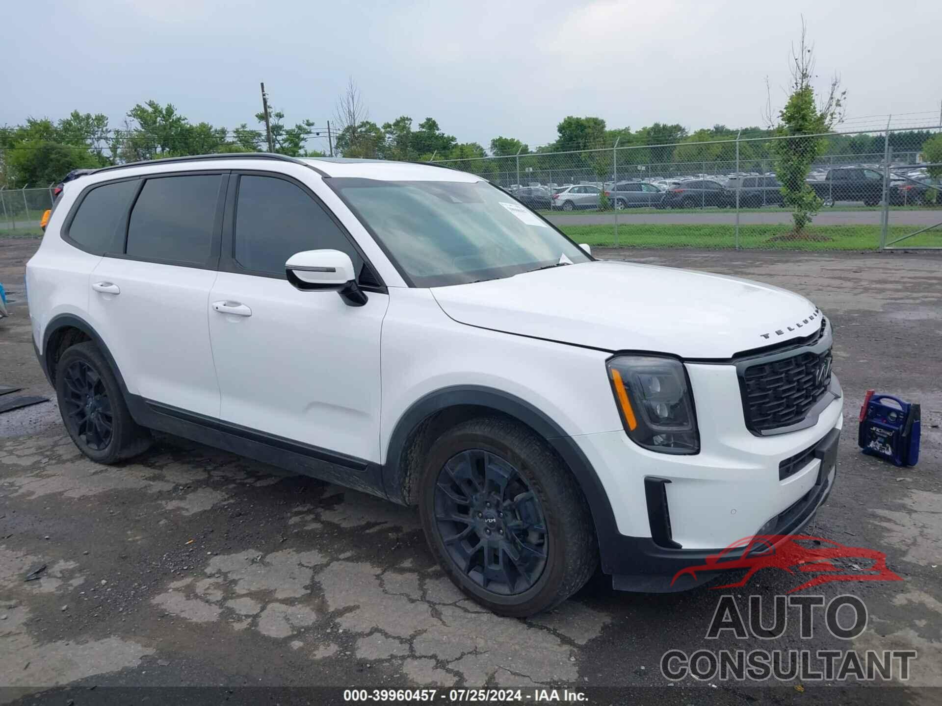 KIA TELLURIDE 2022 - 5XYP5DHCXNG206451