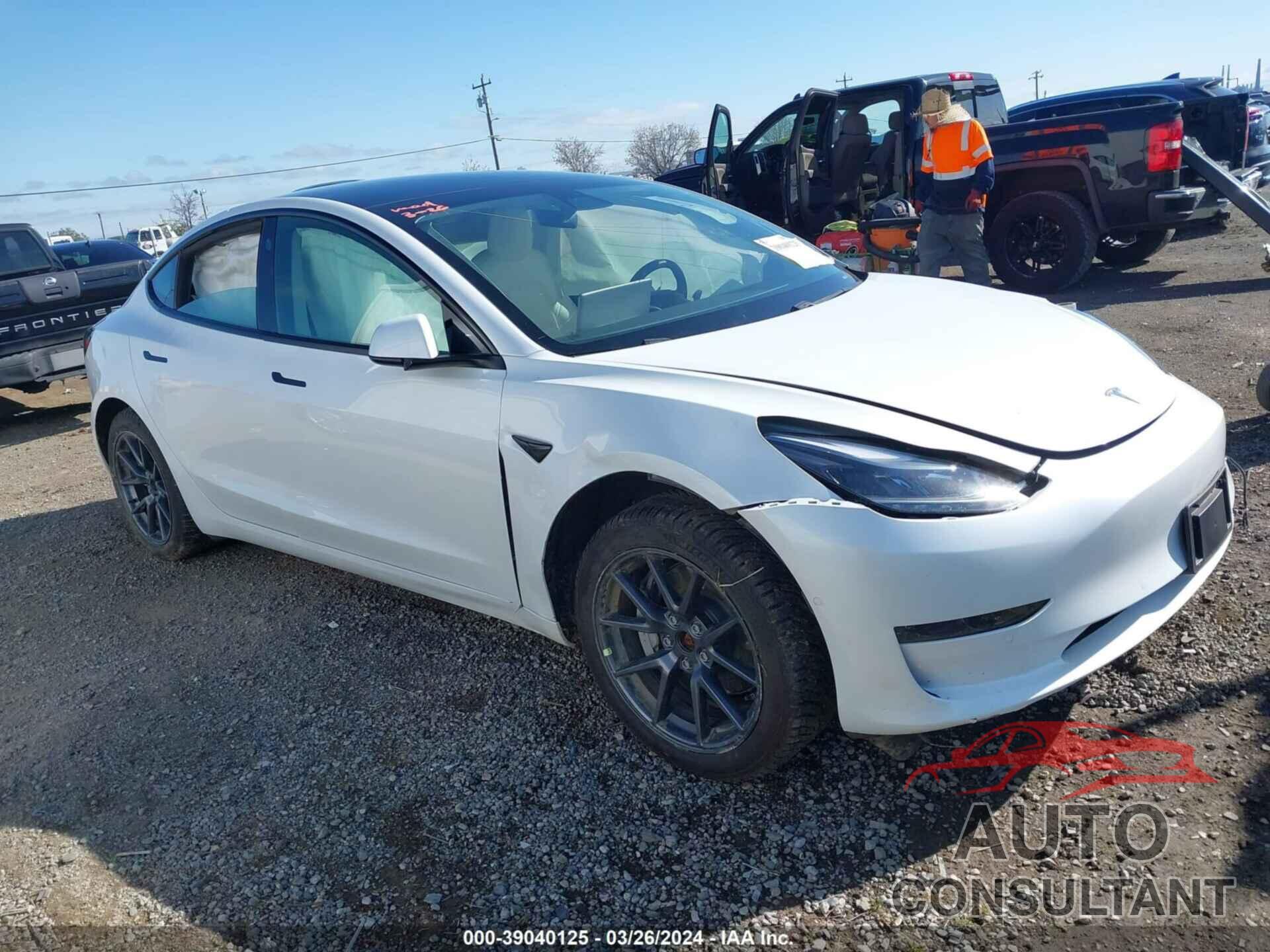 TESLA MODEL 3 2021 - 5YJ3E1EB4MF010231