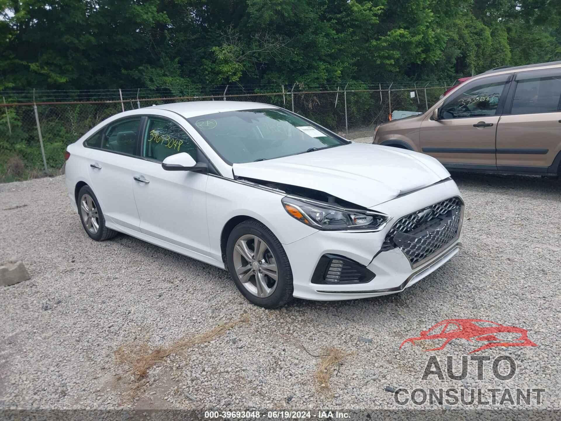 HYUNDAI SONATA 2019 - 5NPE34AF0KH773371