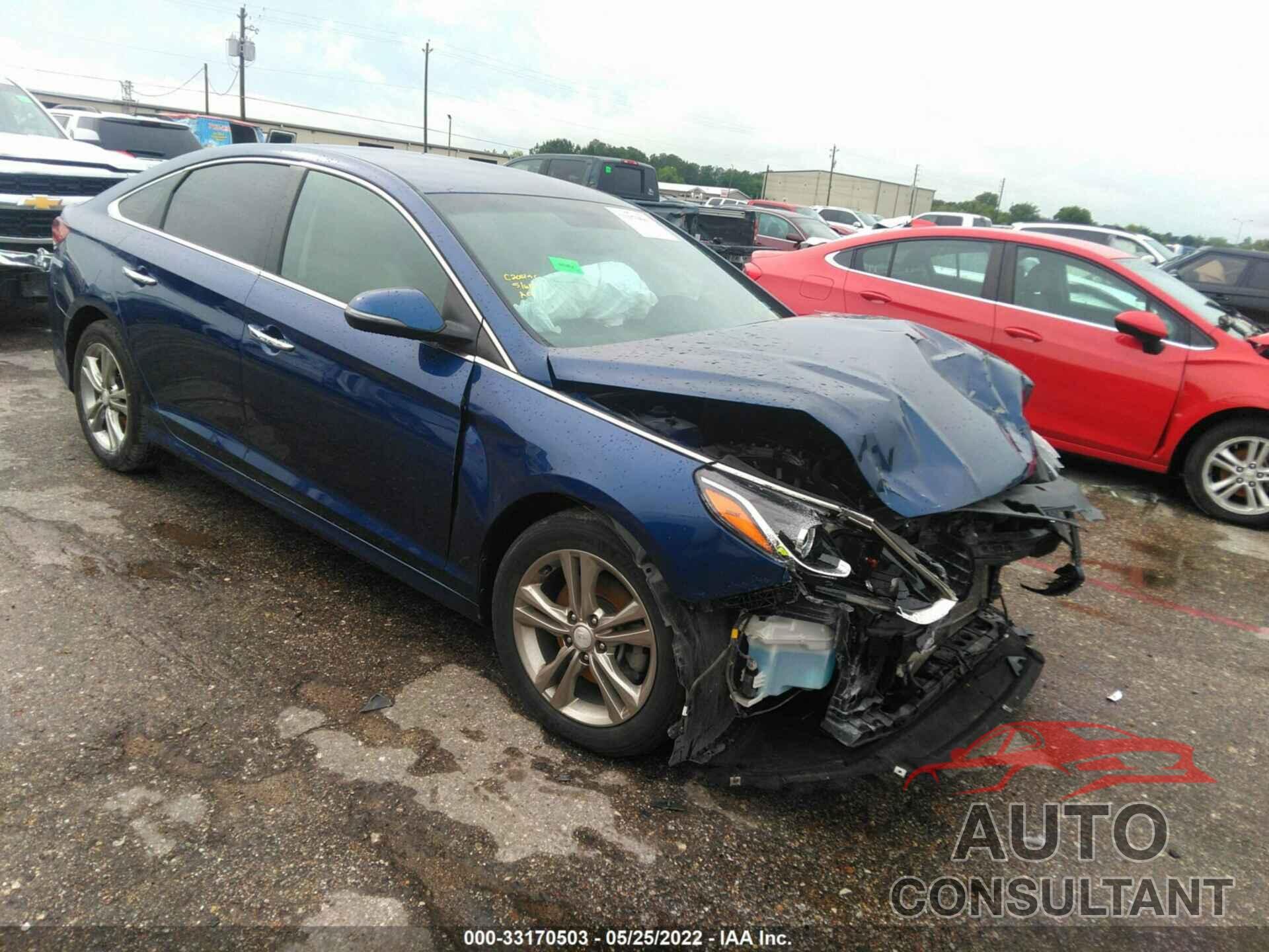 HYUNDAI SONATA 2019 - 5NPE34AF5KH769428