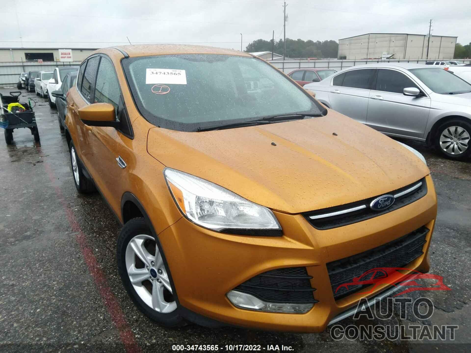 FORD ESCAPE 2016 - 1FMCU9GX0GUC61281