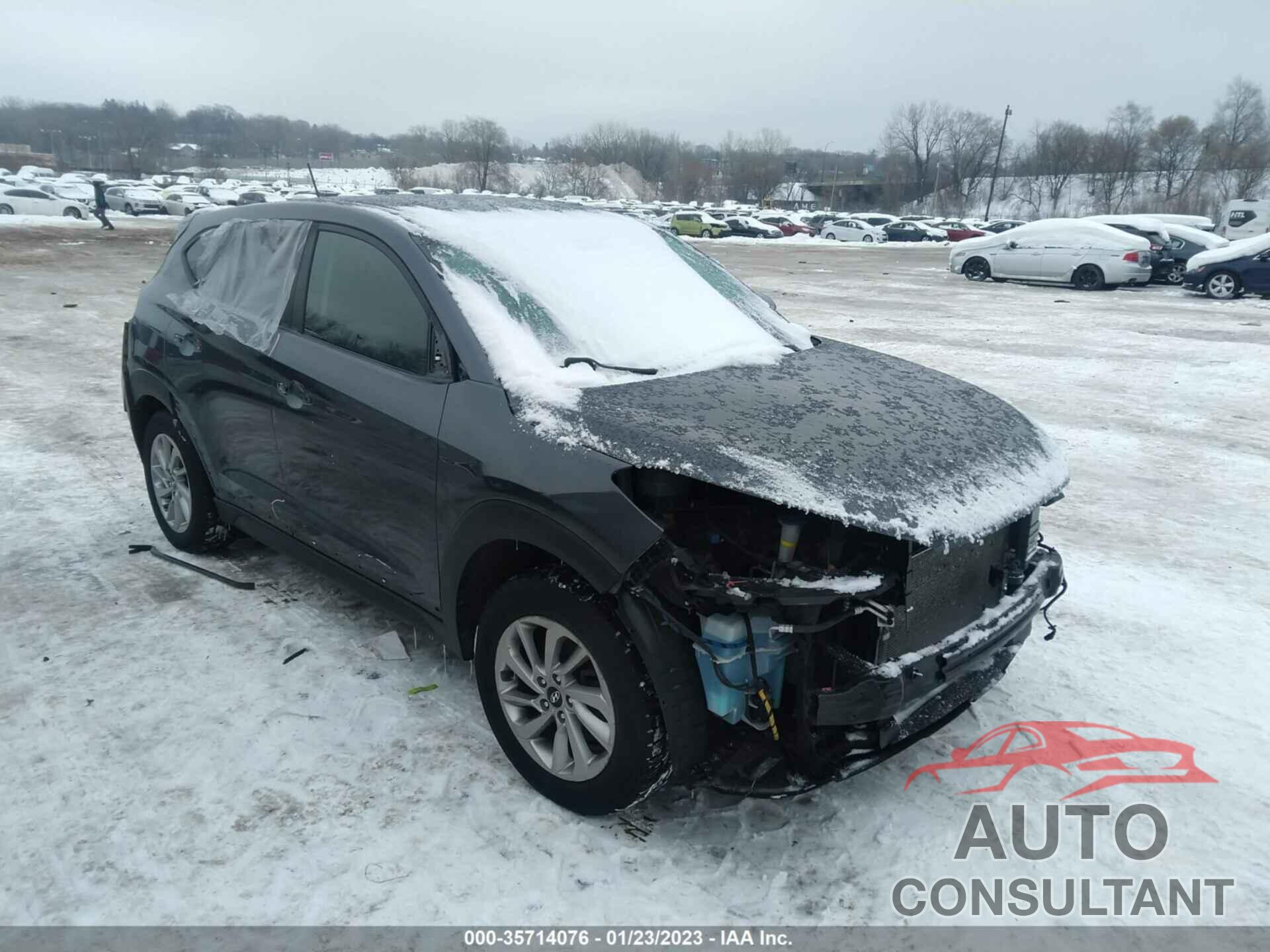 HYUNDAI TUCSON 2017 - KM8J23A41HU391452