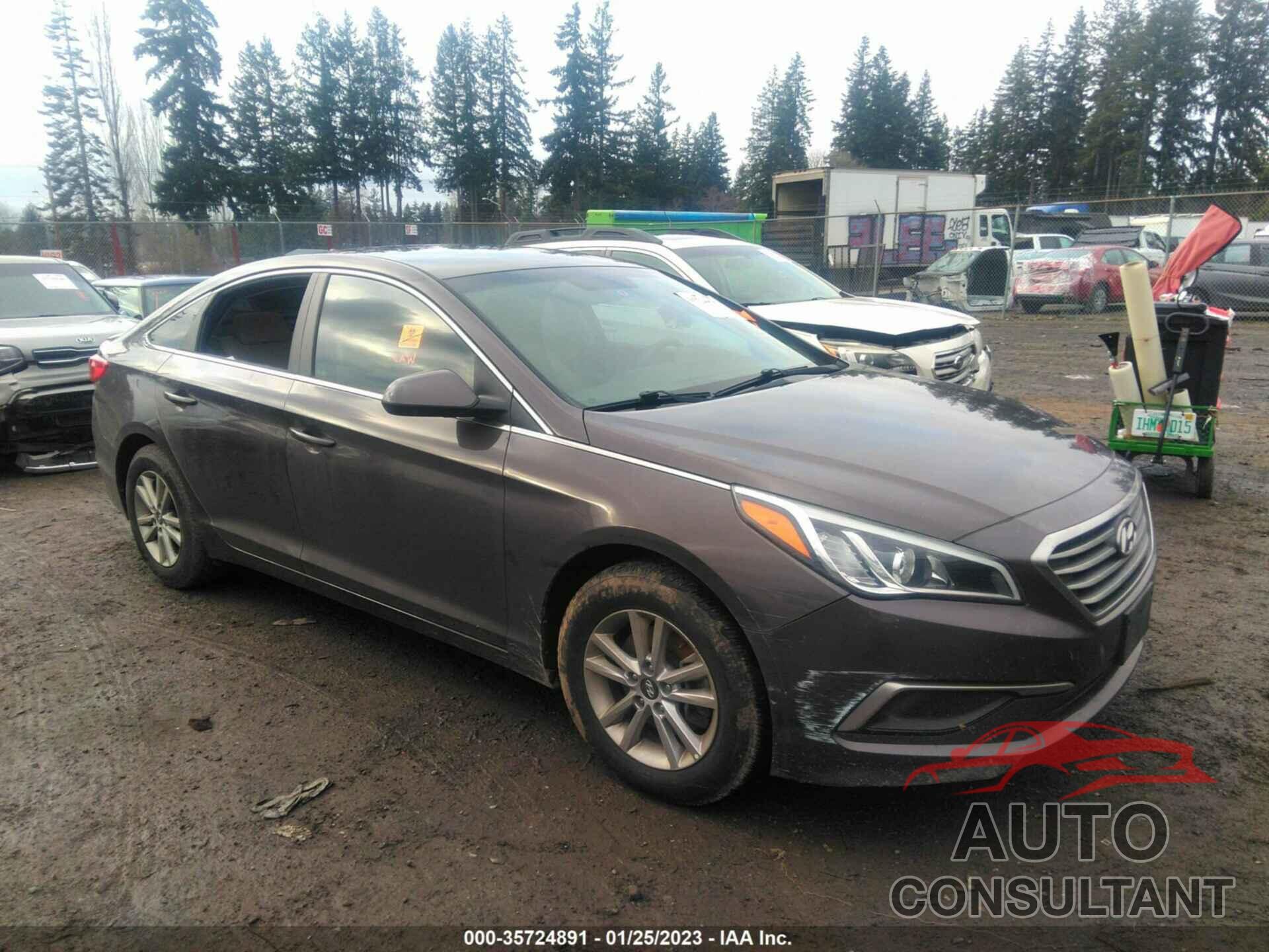 HYUNDAI SONATA 2017 - 5NPE24AF6HH502519