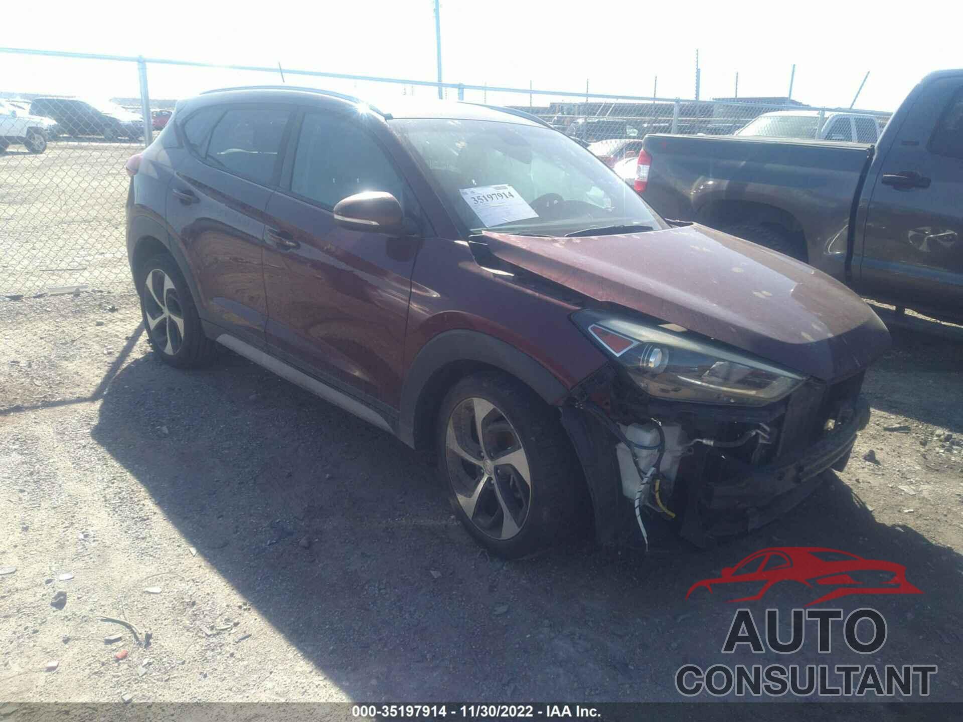 HYUNDAI TUCSON 2017 - KM8J33A24HU504032