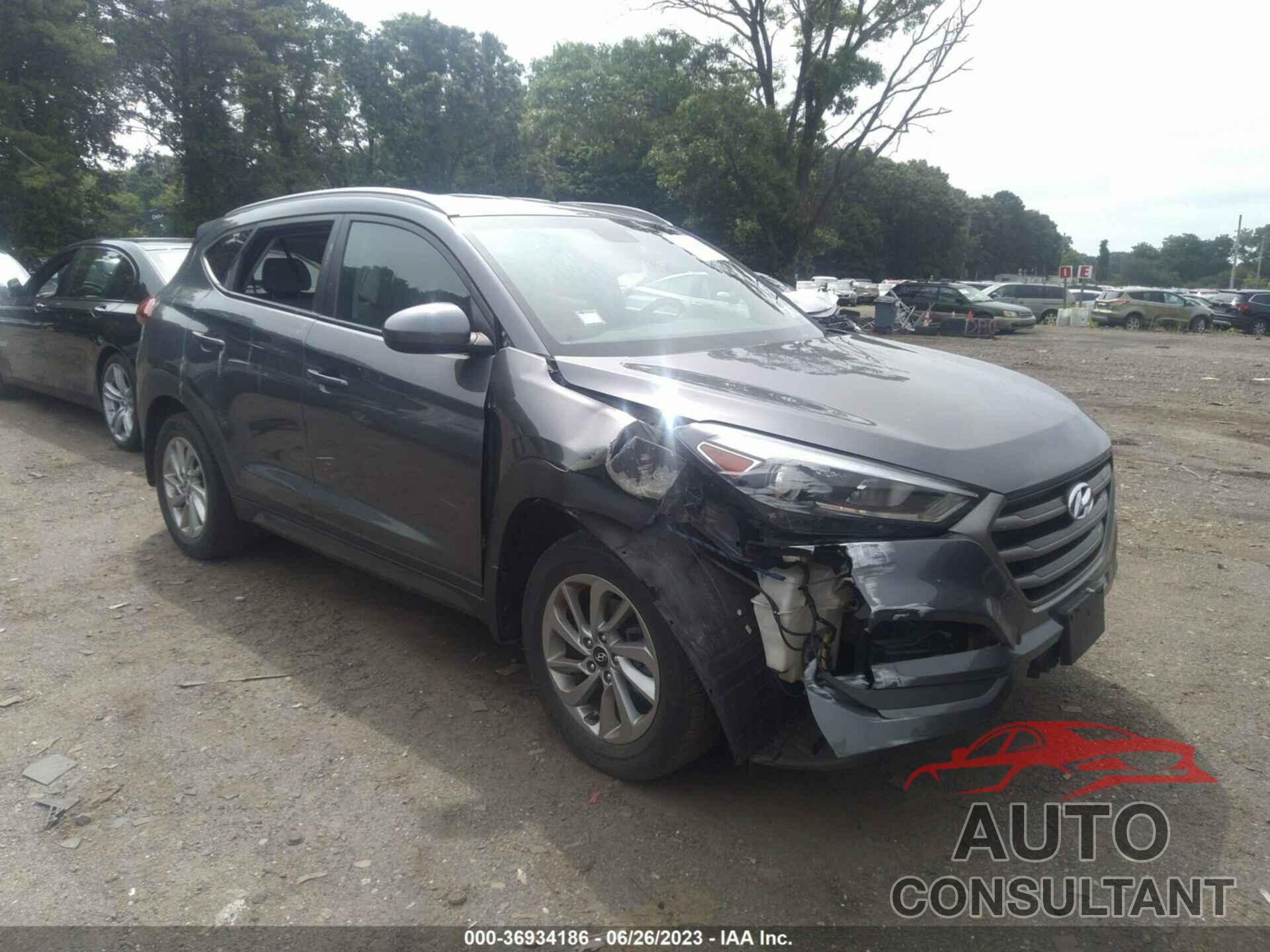 HYUNDAI TUCSON 2016 - KM8J33A43GU026279