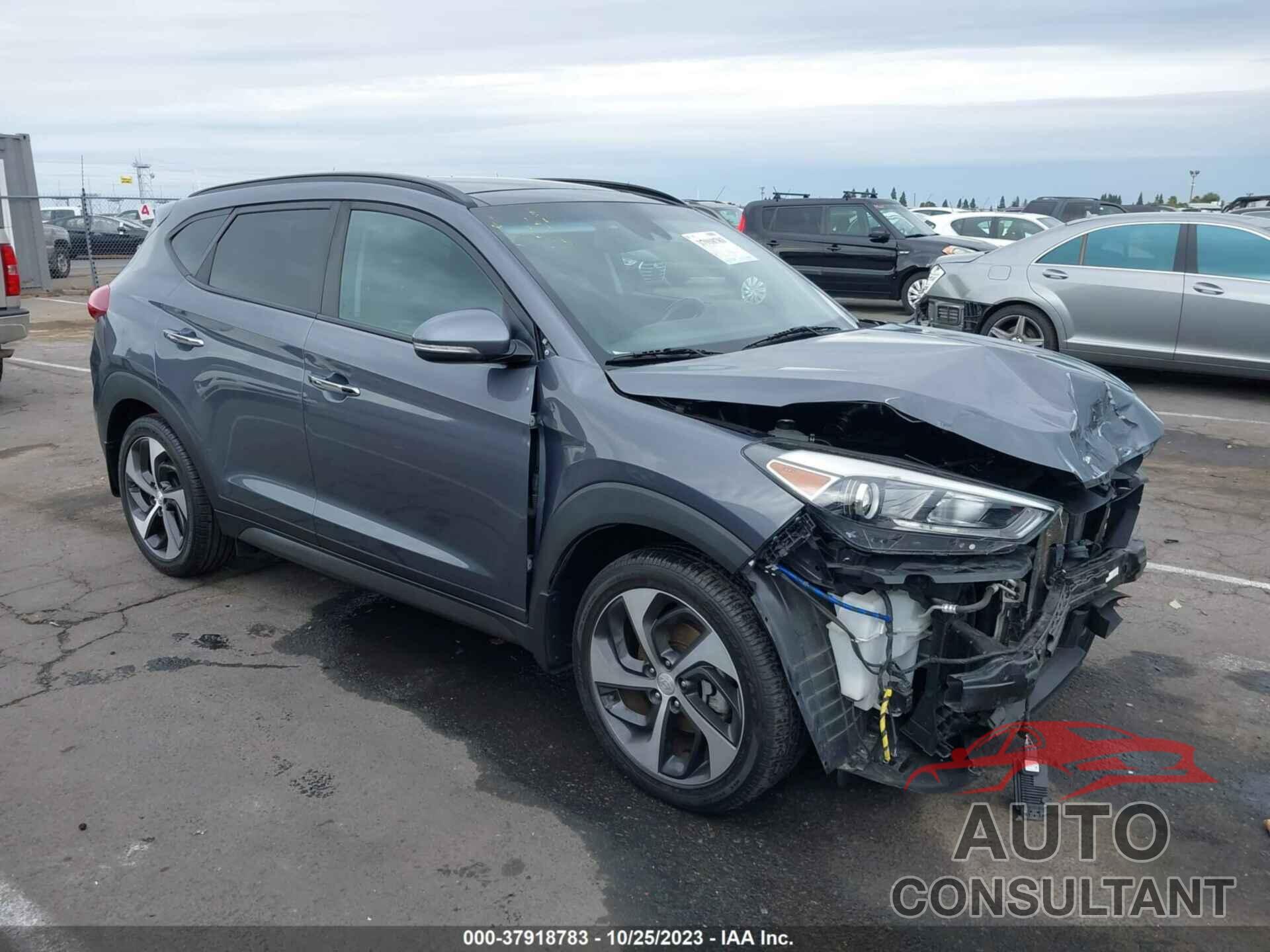 HYUNDAI TUCSON 2016 - KM8J3CA27GU159223