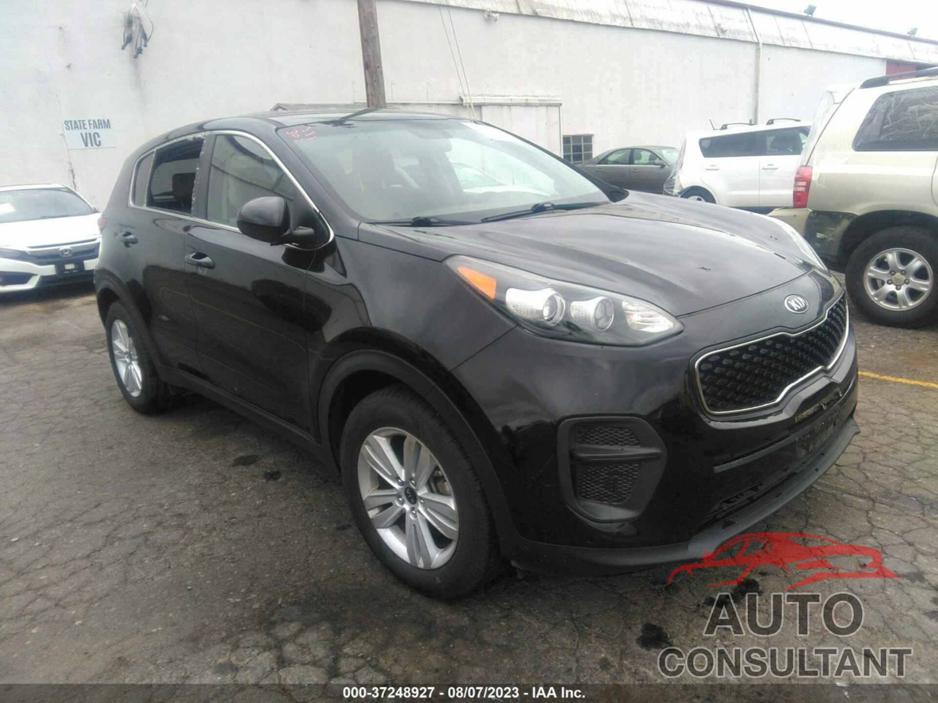 KIA SPORTAGE 2017 - KNDPM3AC2H7210258