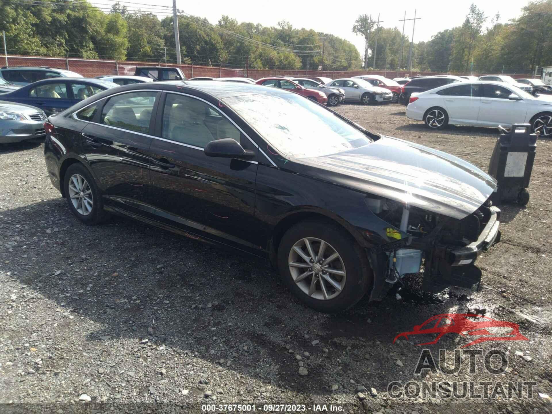 HYUNDAI SONATA 2019 - 5NPE24AF8KH726950