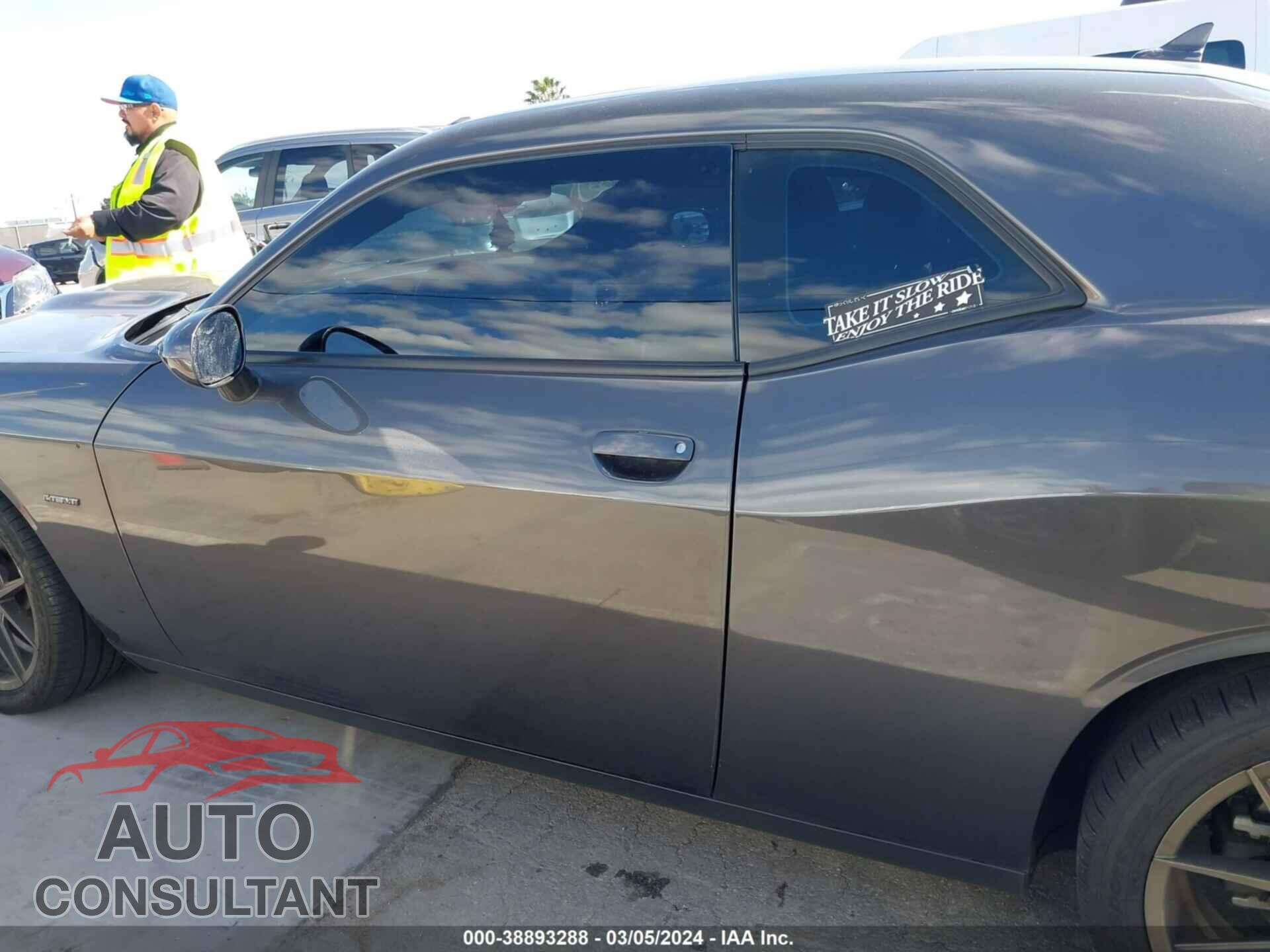 DODGE CHALLENGER 2019 - 2C3CDZBT6KH719642