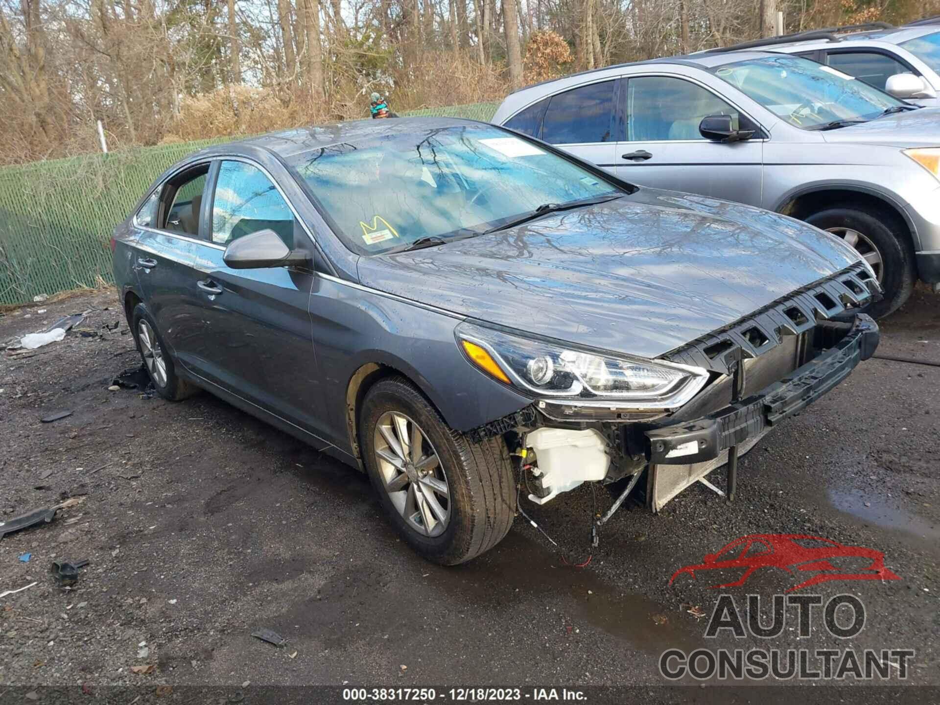 HYUNDAI SONATA 2019 - 5NPE24AF1KH765590