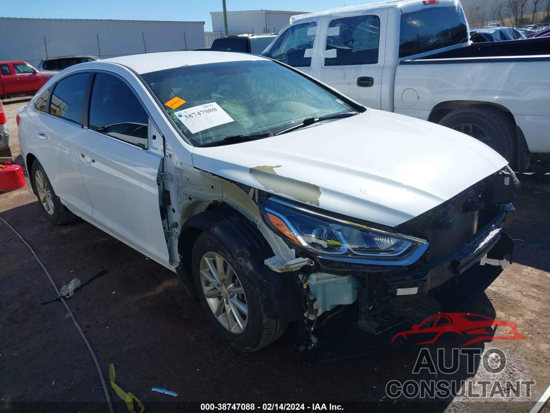 HYUNDAI SONATA 2019 - 5NPE24AF6KH798312