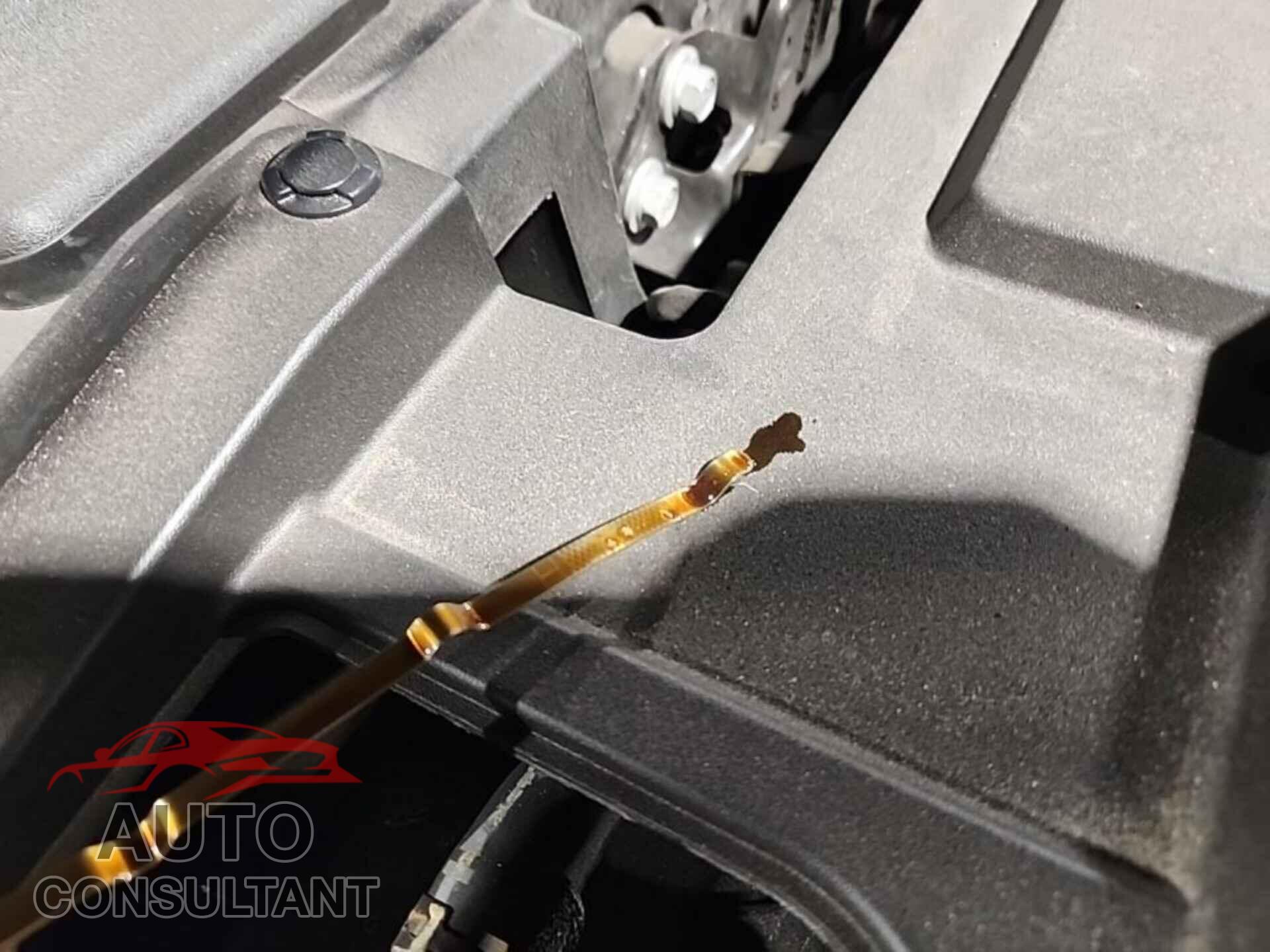 NISSAN MURANO 2022 - 5N1AZ2ASXNC123473