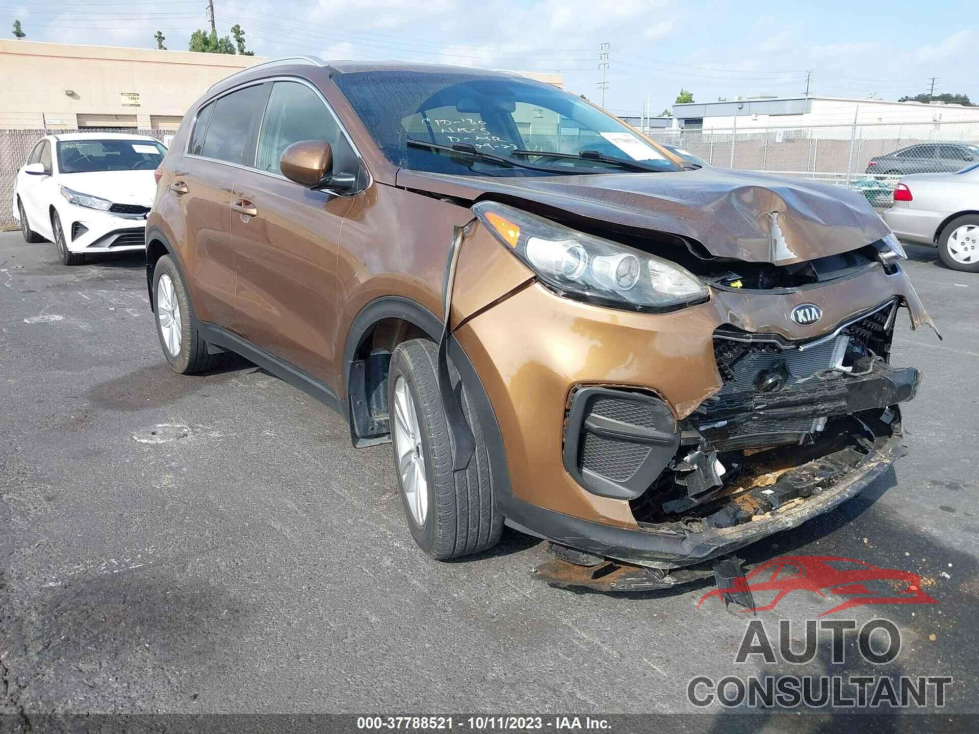 KIA SPORTAGE 2019 - KNDPM3AC7K7510255