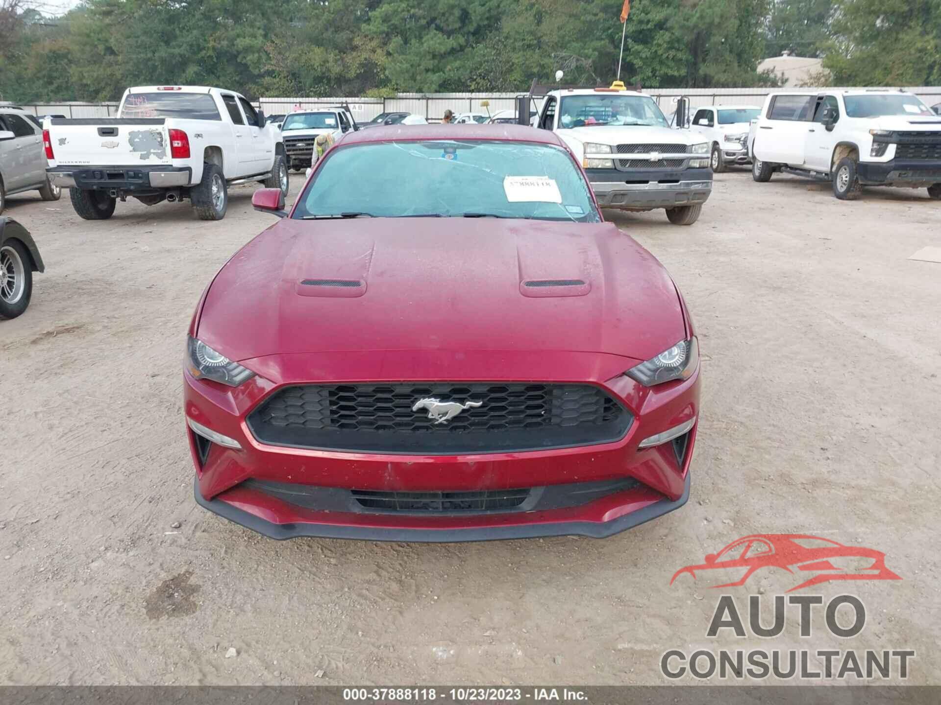 FORD MUSTANG 2019 - 1FA6P8TH3K5114625