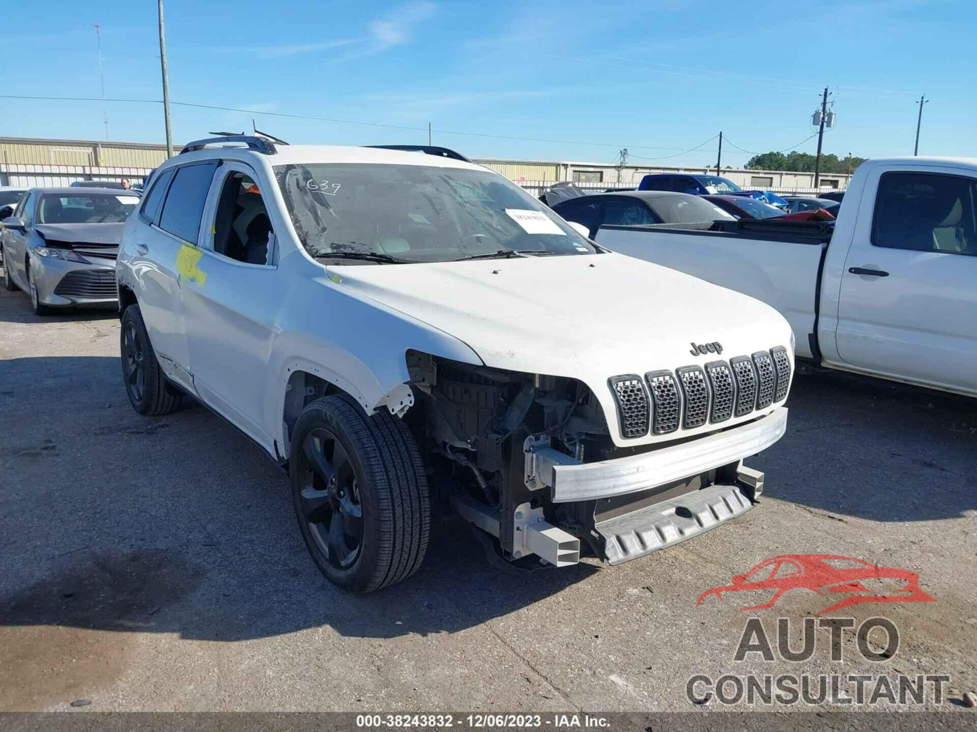 JEEP CHEROKEE 2019 - 1C4PJLLB9KD434505