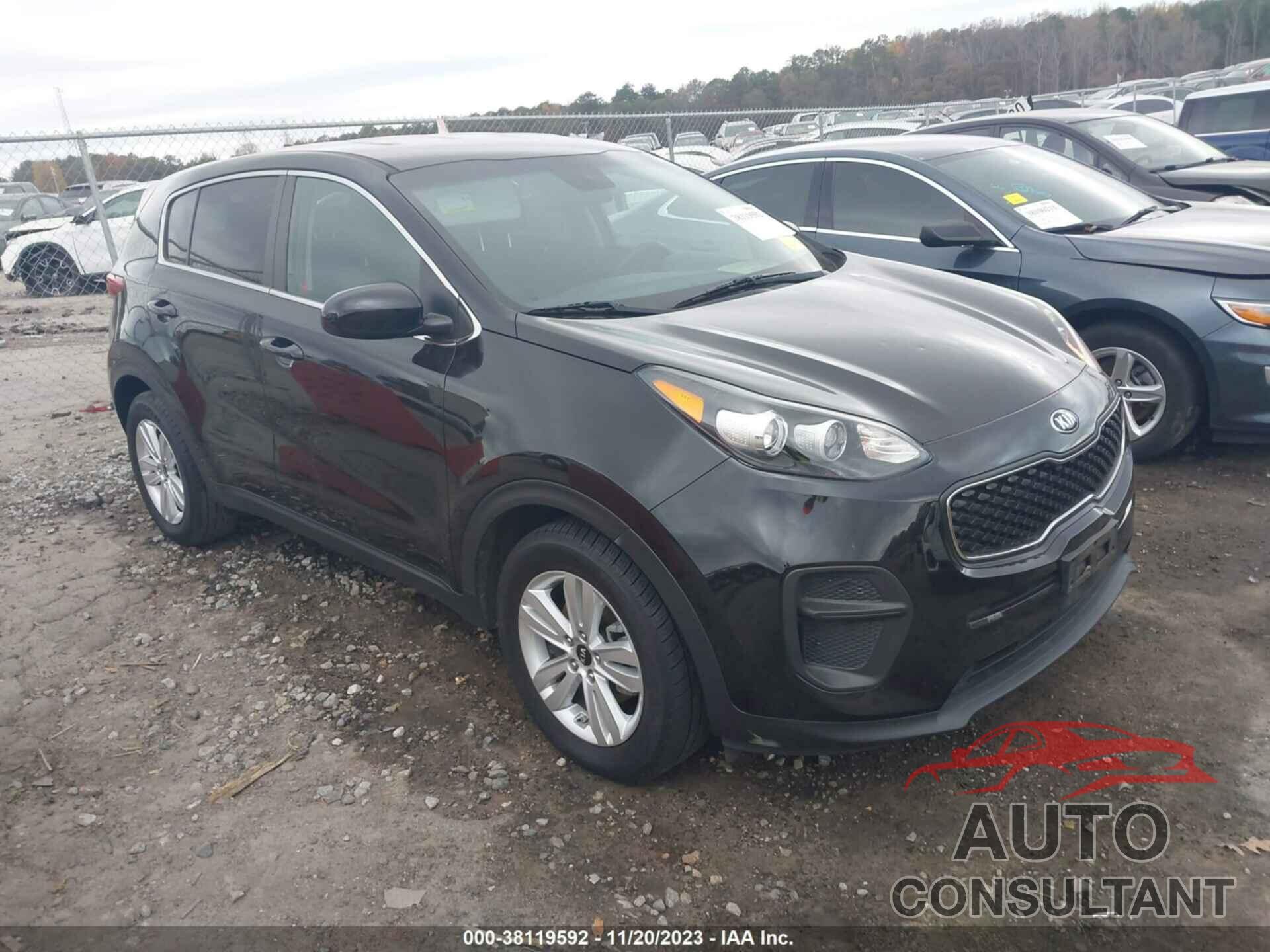 KIA SPORTAGE 2017 - KNDPM3AC7H7178505