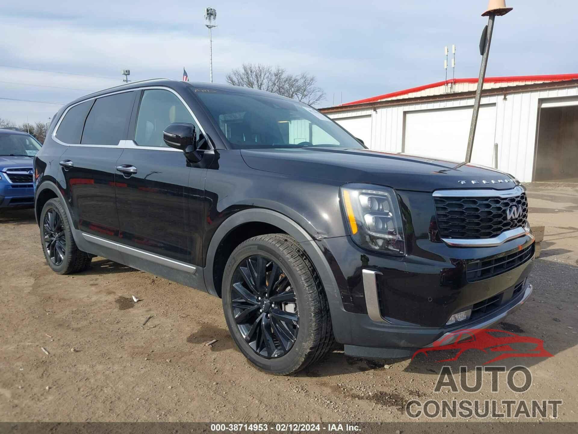 KIA TELLURIDE 2022 - 5XYP5DHCXNG310440