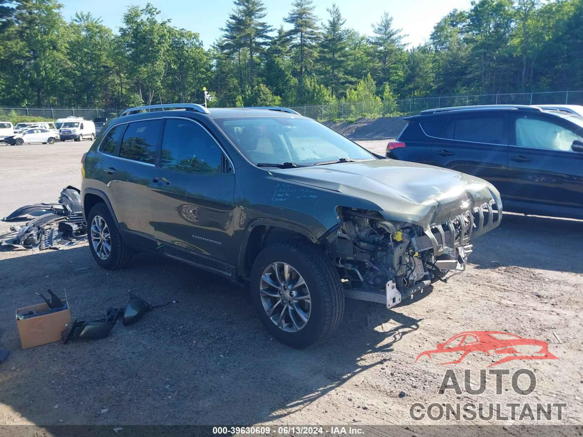 JEEP CHEROKEE 2019 - 1C4PJMLBXKD127348