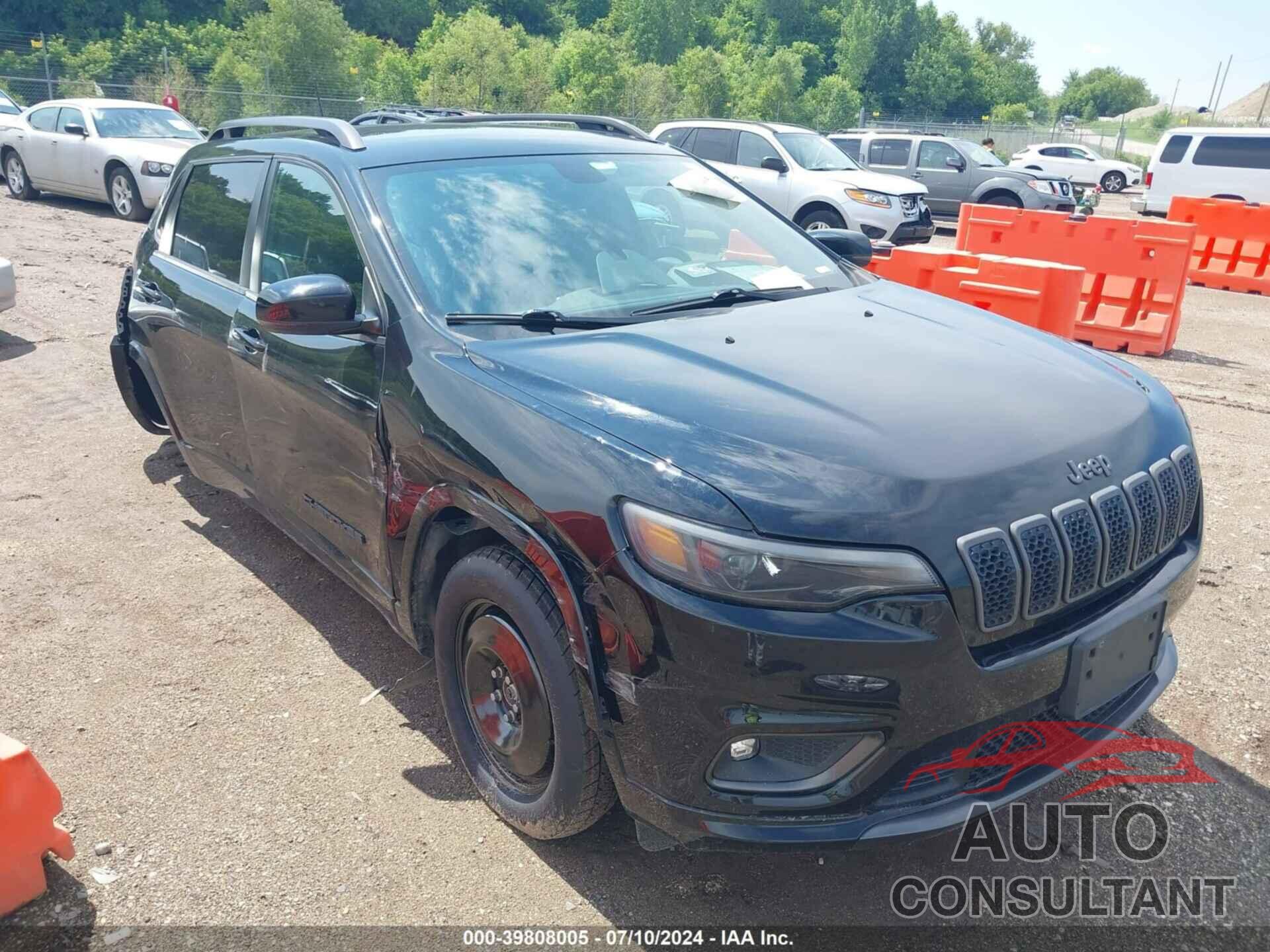 JEEP CHEROKEE 2019 - 1C4PJMDX9KD425111