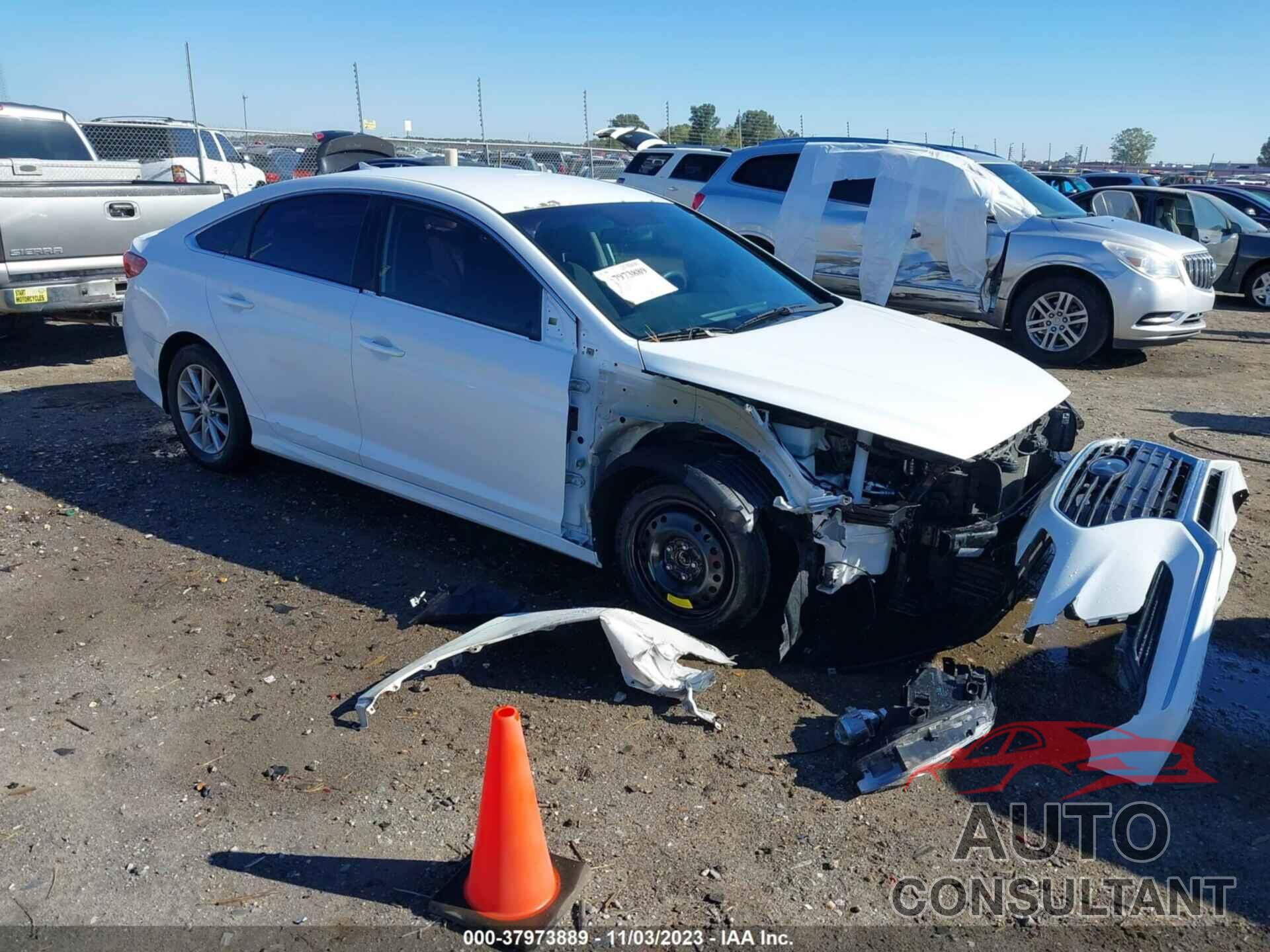 HYUNDAI SONATA 2019 - 5NPE24AF5KH748002