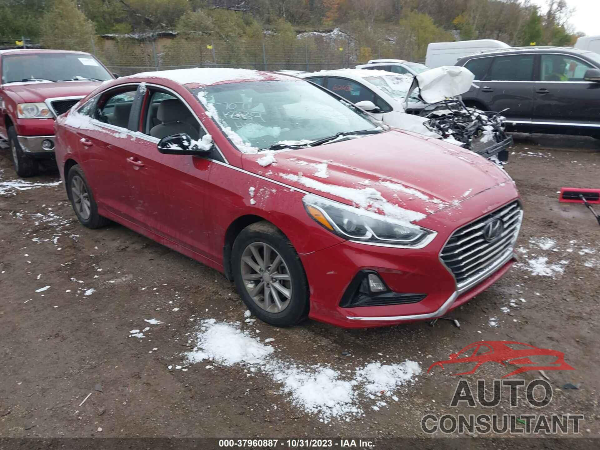 HYUNDAI SONATA 2019 - 5NPE24AF7KH739933