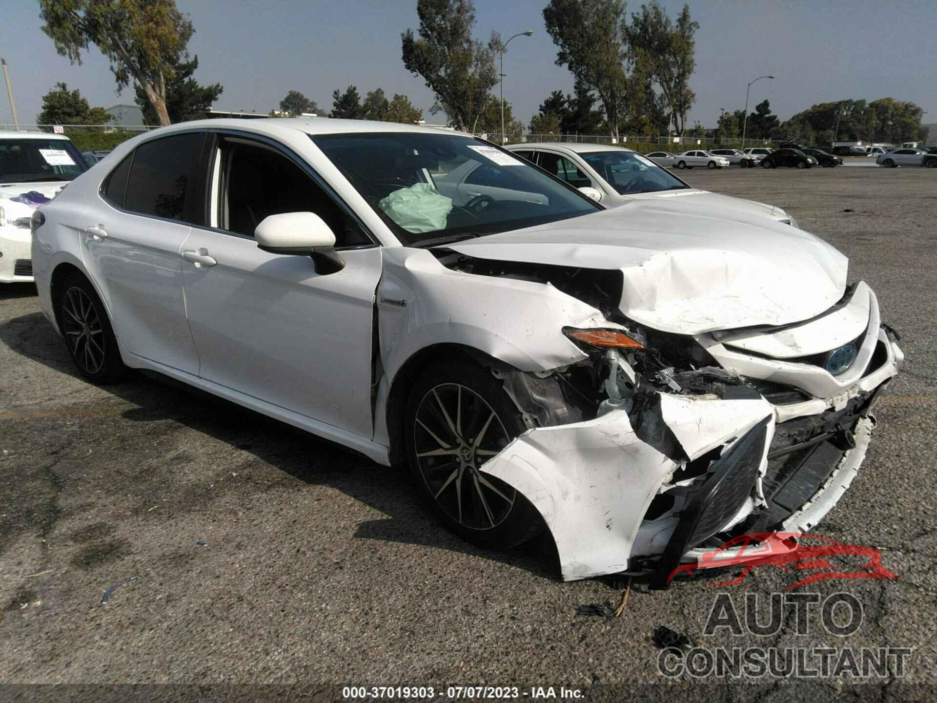 TOYOTA CAMRY 2021 - 4T1G31AK4MU556494