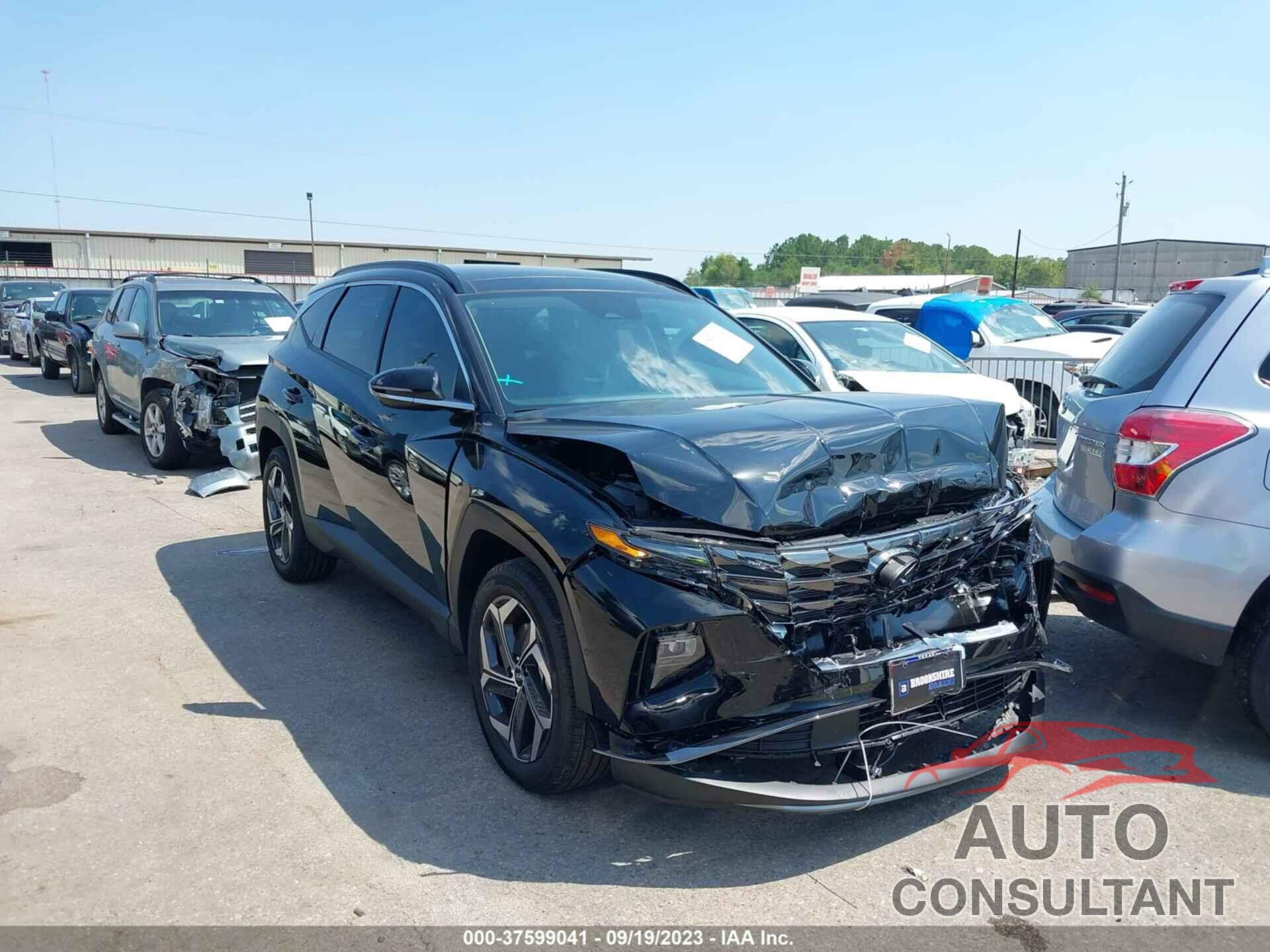 HYUNDAI TUCSON 2023 - 5NMJECAE5PH288142