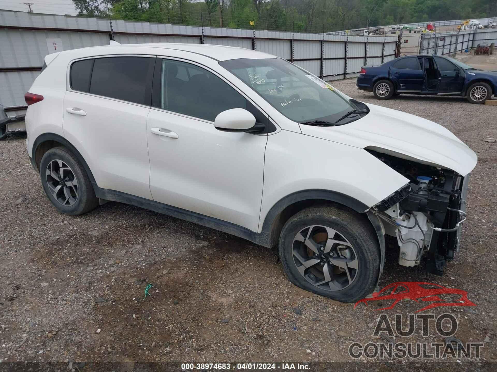 KIA SPORTAGE 2022 - KNDPM3AC4N7984670