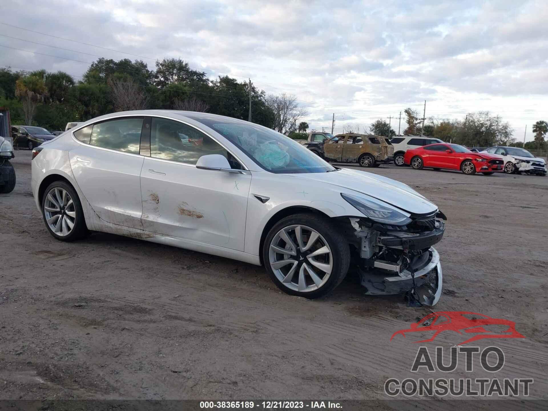 TESLA MODEL 3 2019 - 5YJ3E1EA8KF436279