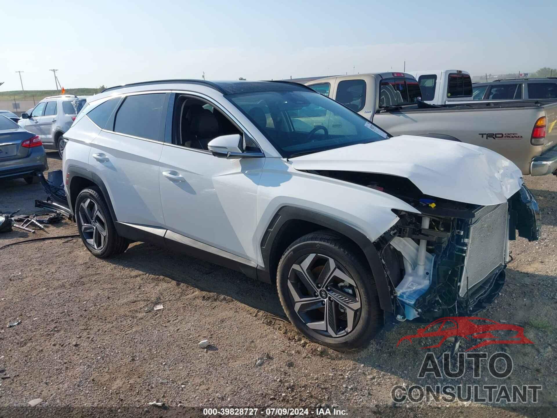 HYUNDAI TUCSON 2024 - 5NMJECDE5RH389504