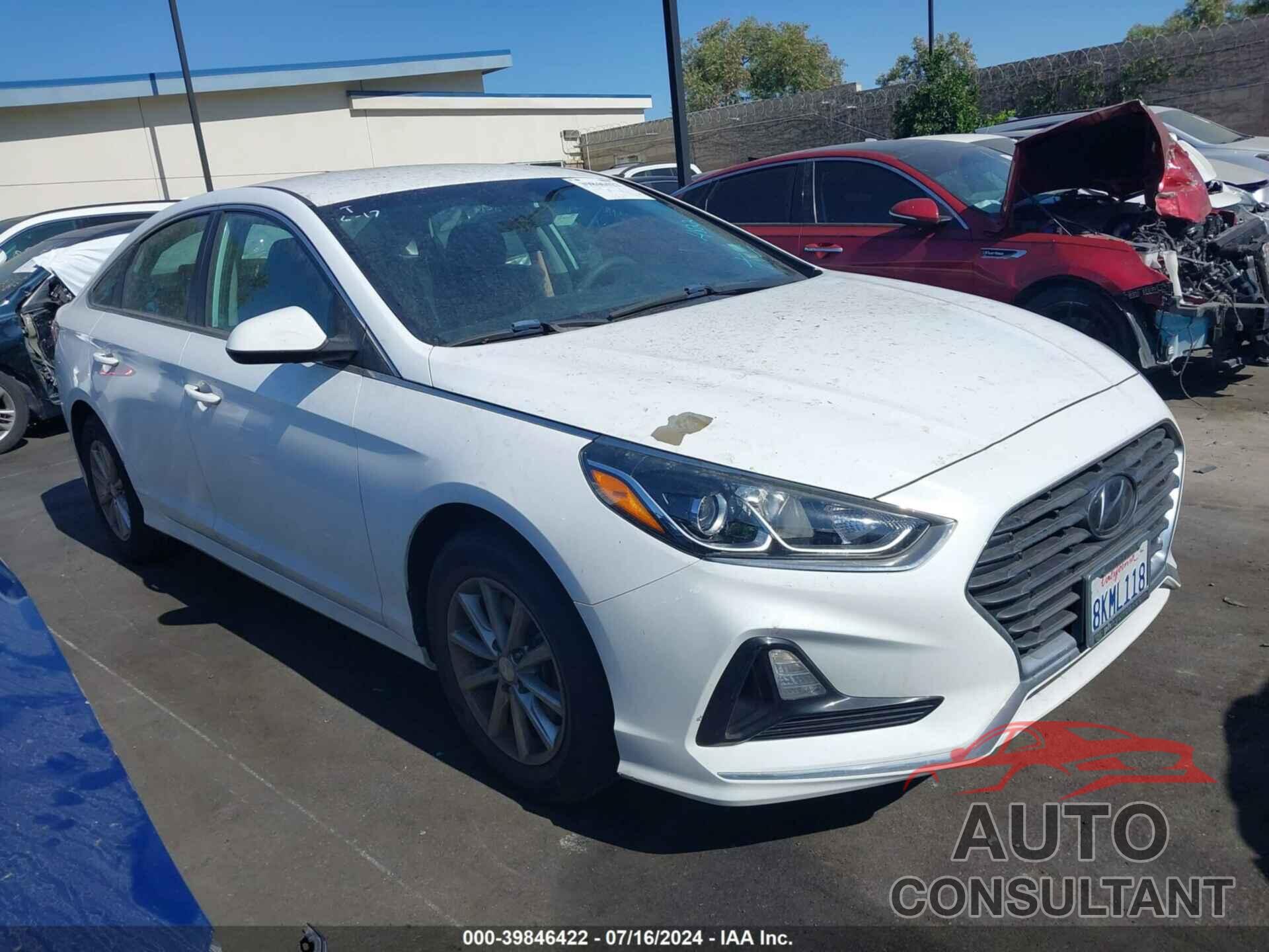 HYUNDAI SONATA 2019 - 5NPE24AF8KH752044