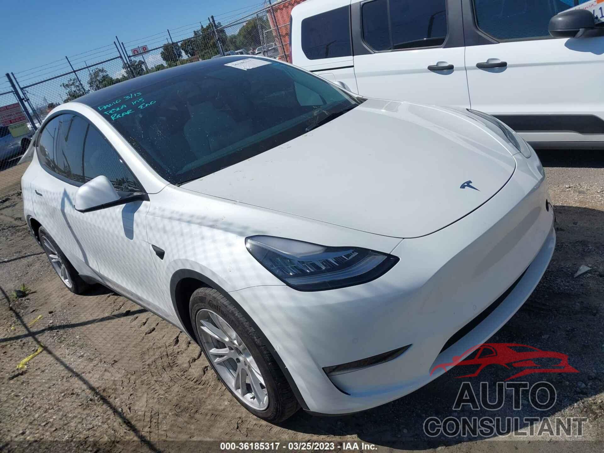 TESLA MODEL Y 2021 - 5YJYGDEE7MF299858