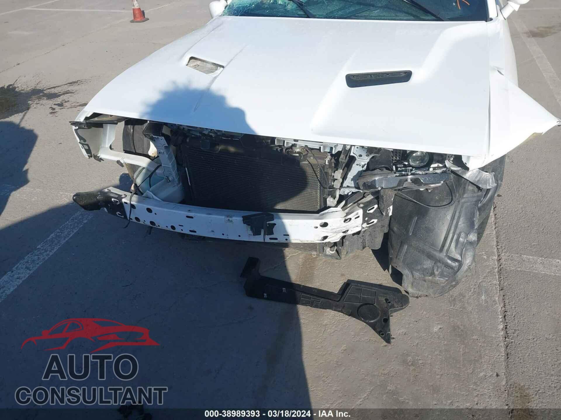 DODGE CHALLENGER 2019 - 2C3CDZAG4KH723399