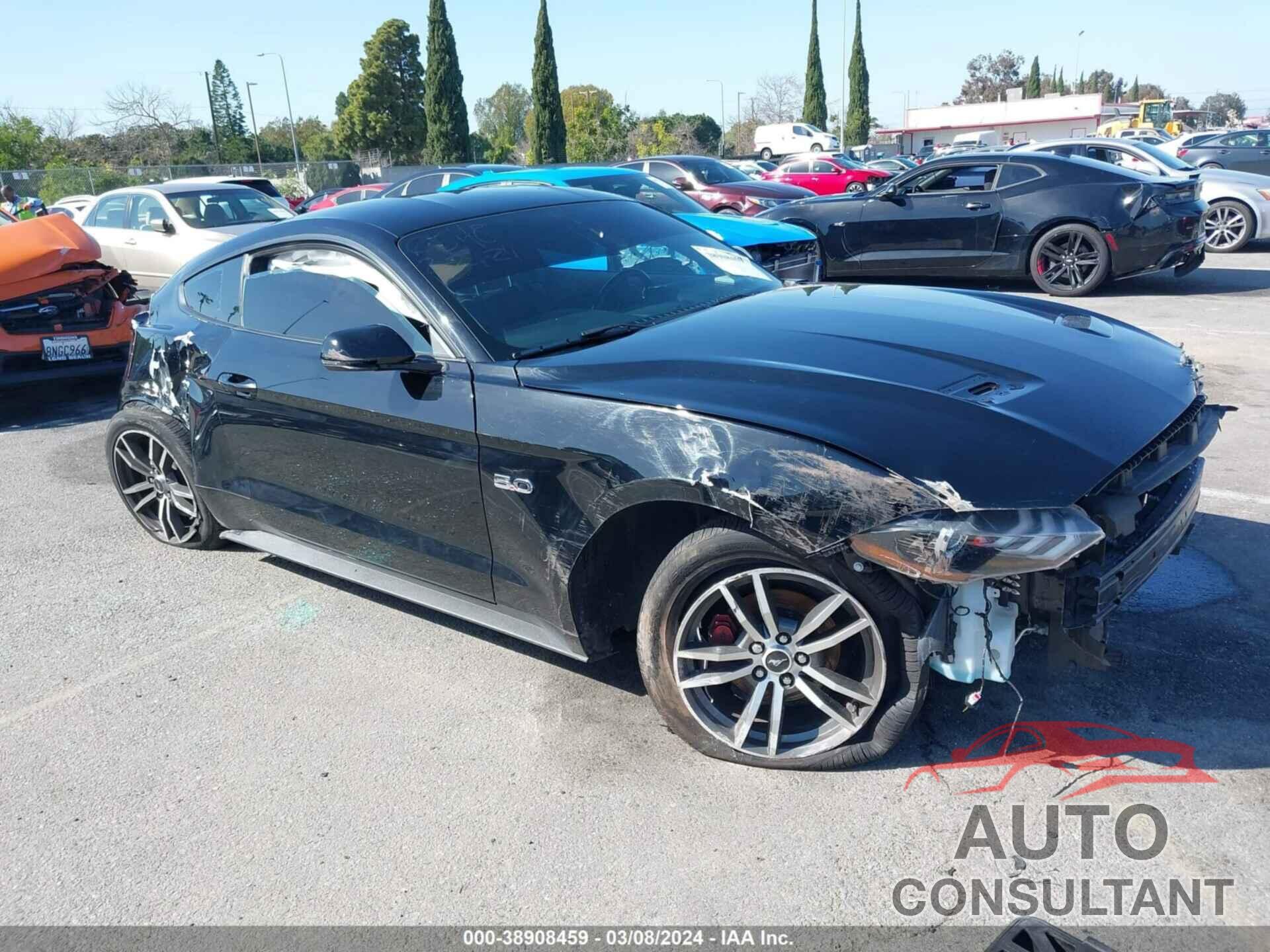 FORD MUSTANG 2019 - 1FA6P8CF2K5169159