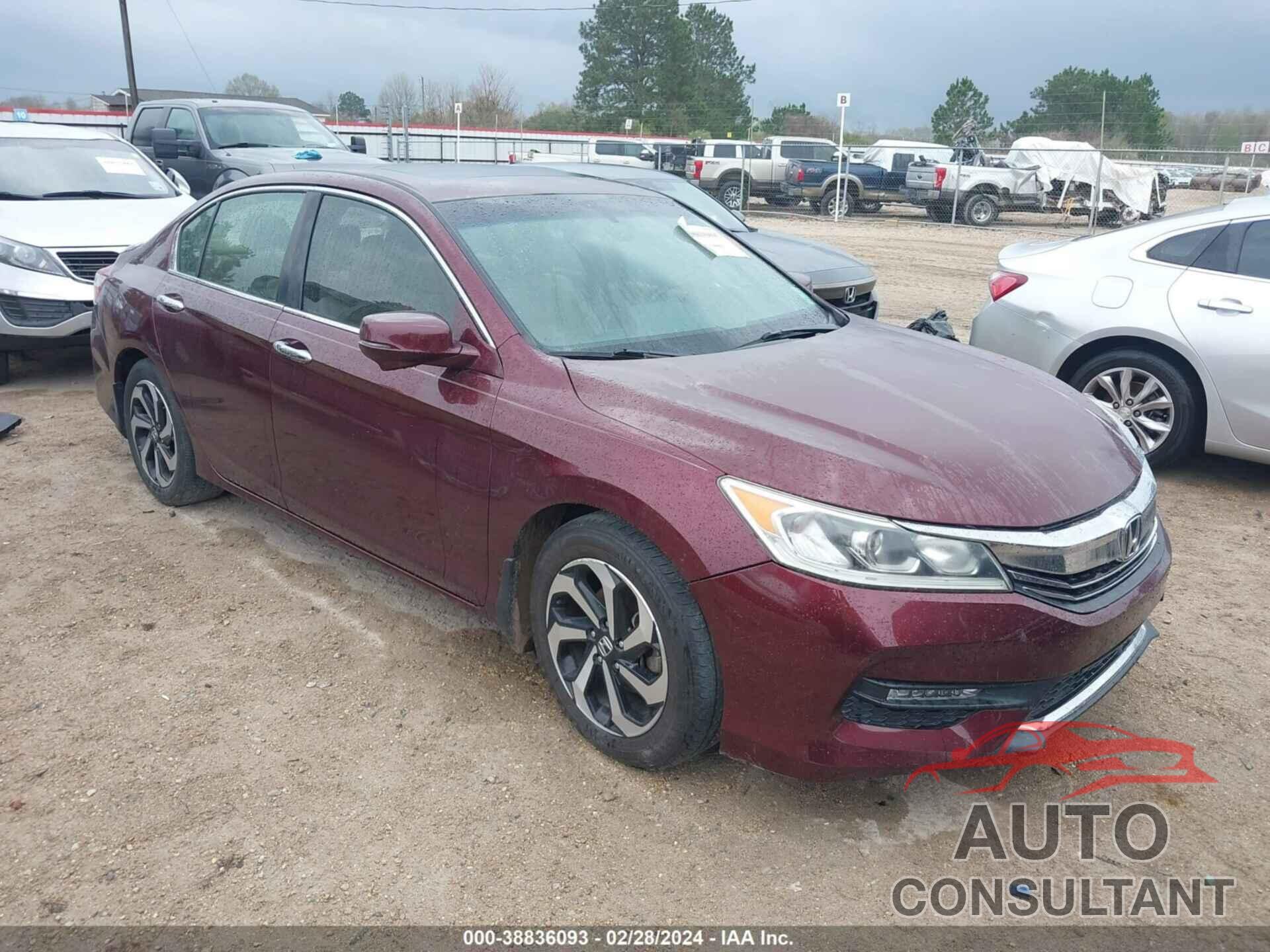 HONDA ACCORD 2016 - 1HGCR2F8XGA067206