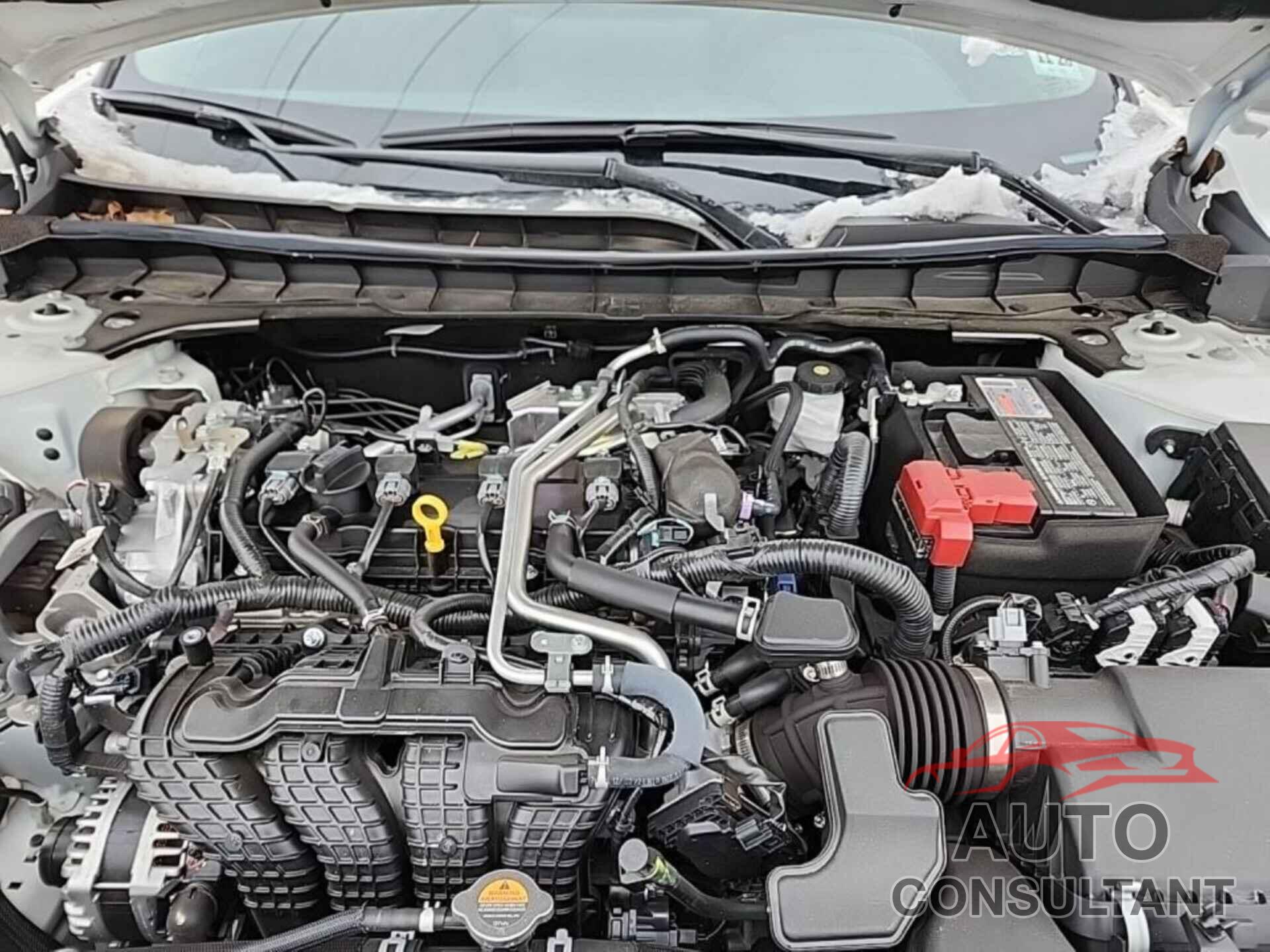 NISSAN ALTIMA 2023 - 1N4BL4DV5PN311665