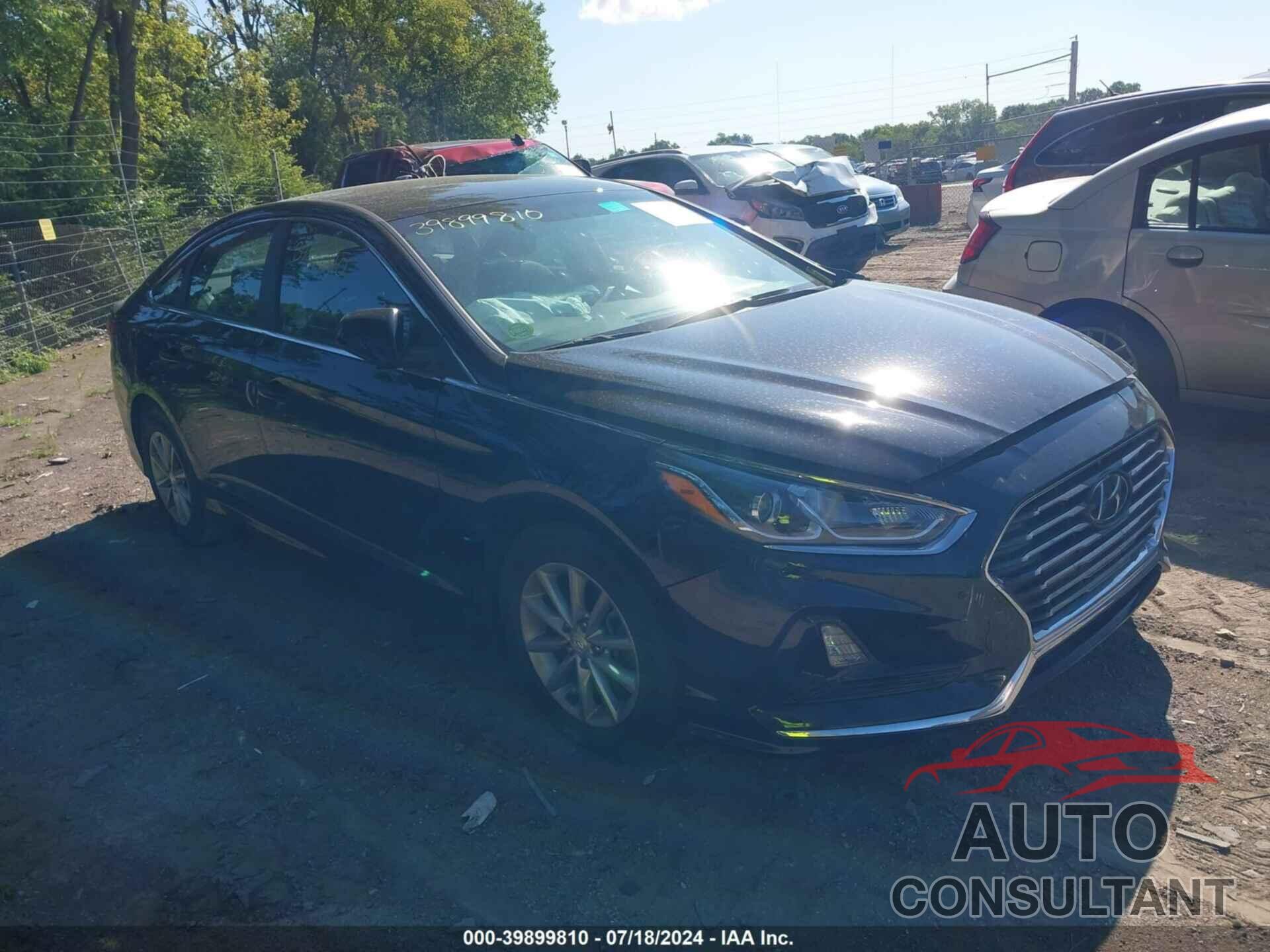 HYUNDAI SONATA 2019 - 5NPE24AF1KH758798