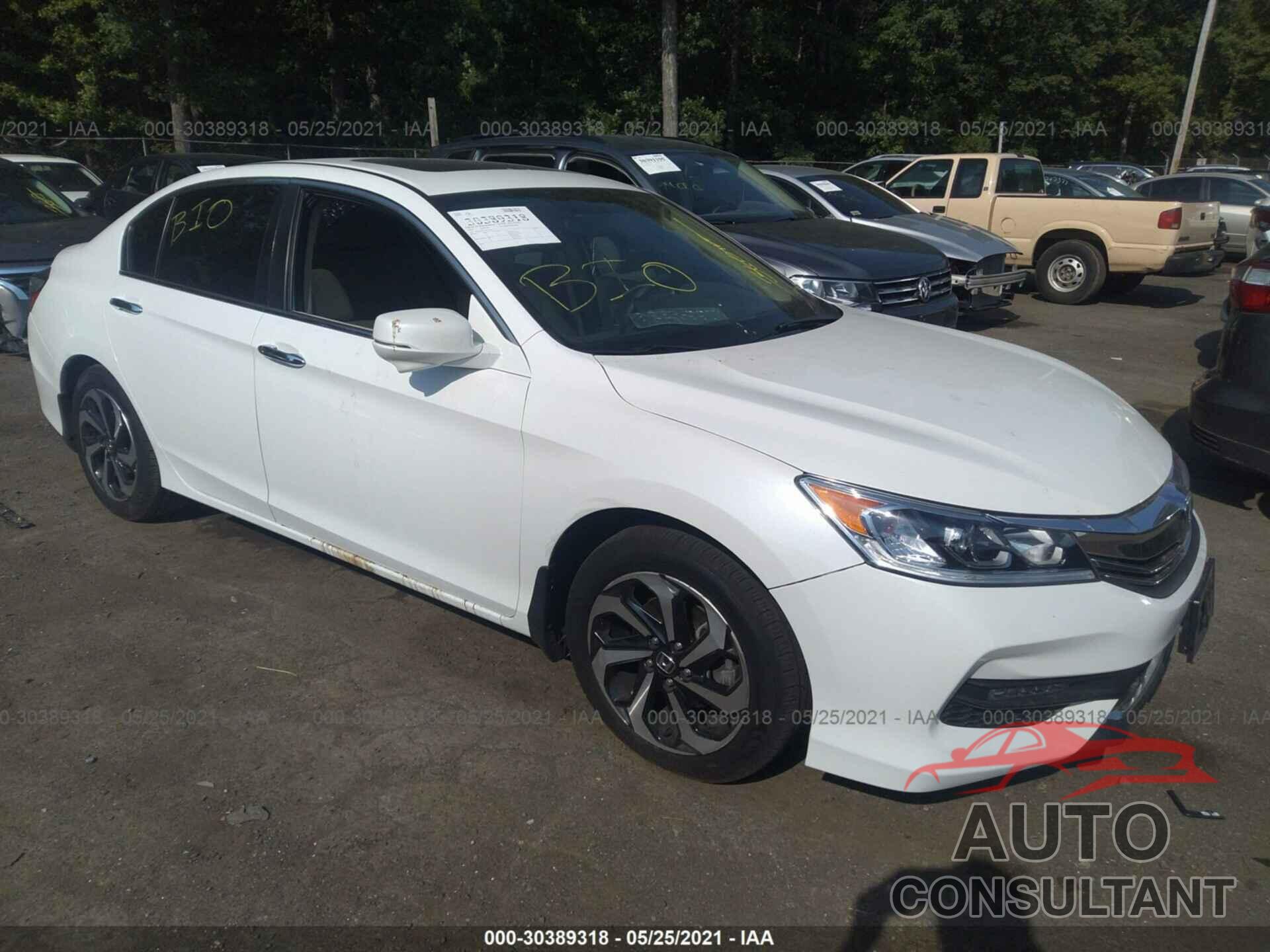 HONDA ACCORD SEDAN 2016 - 1HGCR2F71GA116445