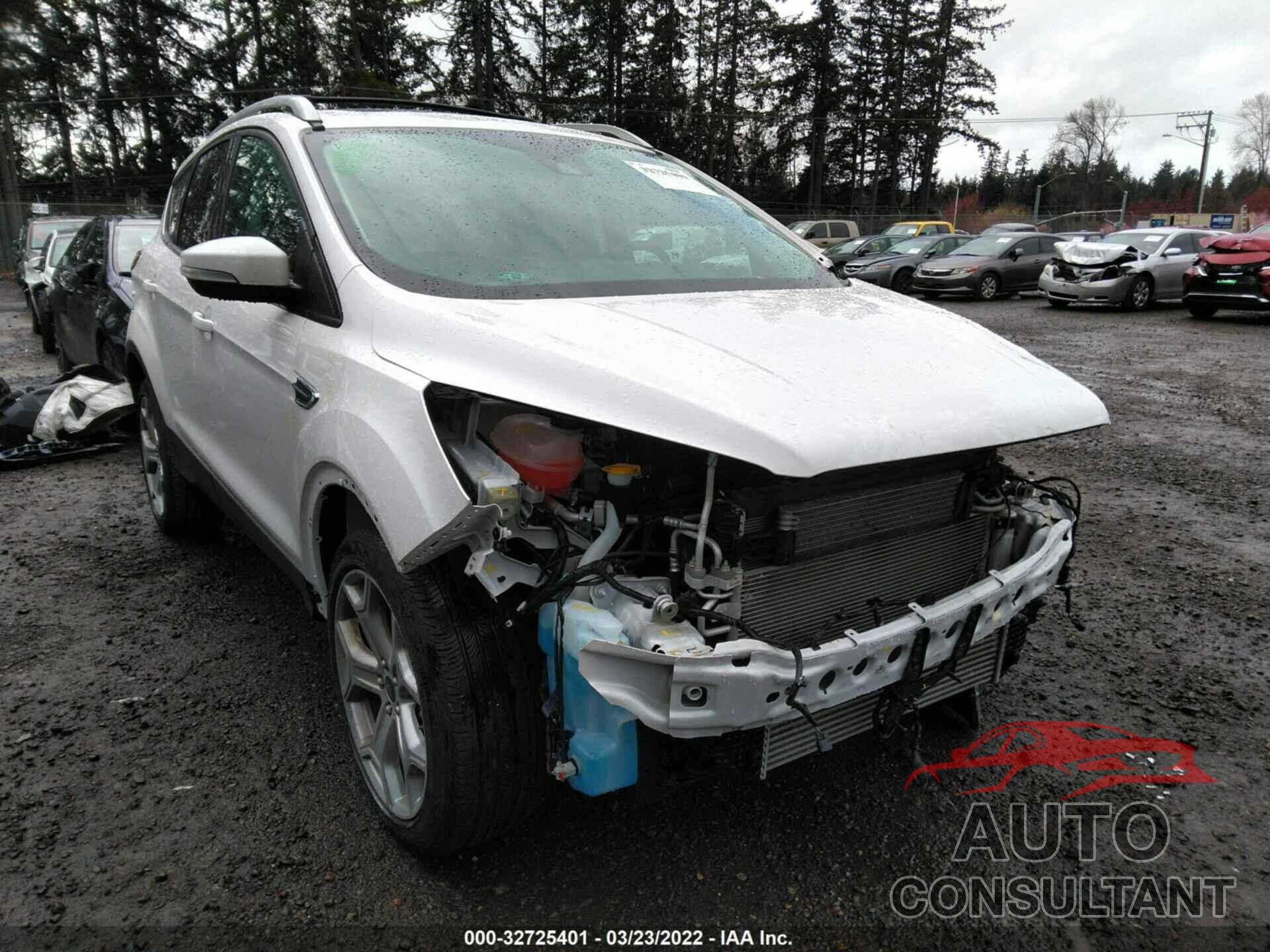 FORD ESCAPE 2017 - 1FMCU9J98HUD29404