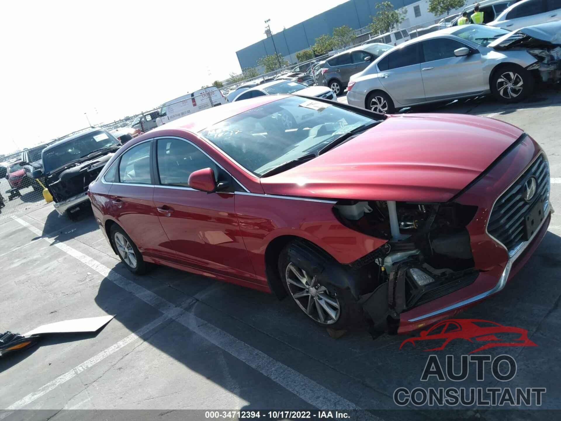 HYUNDAI SONATA 2019 - 5NPE24AF2KH814053