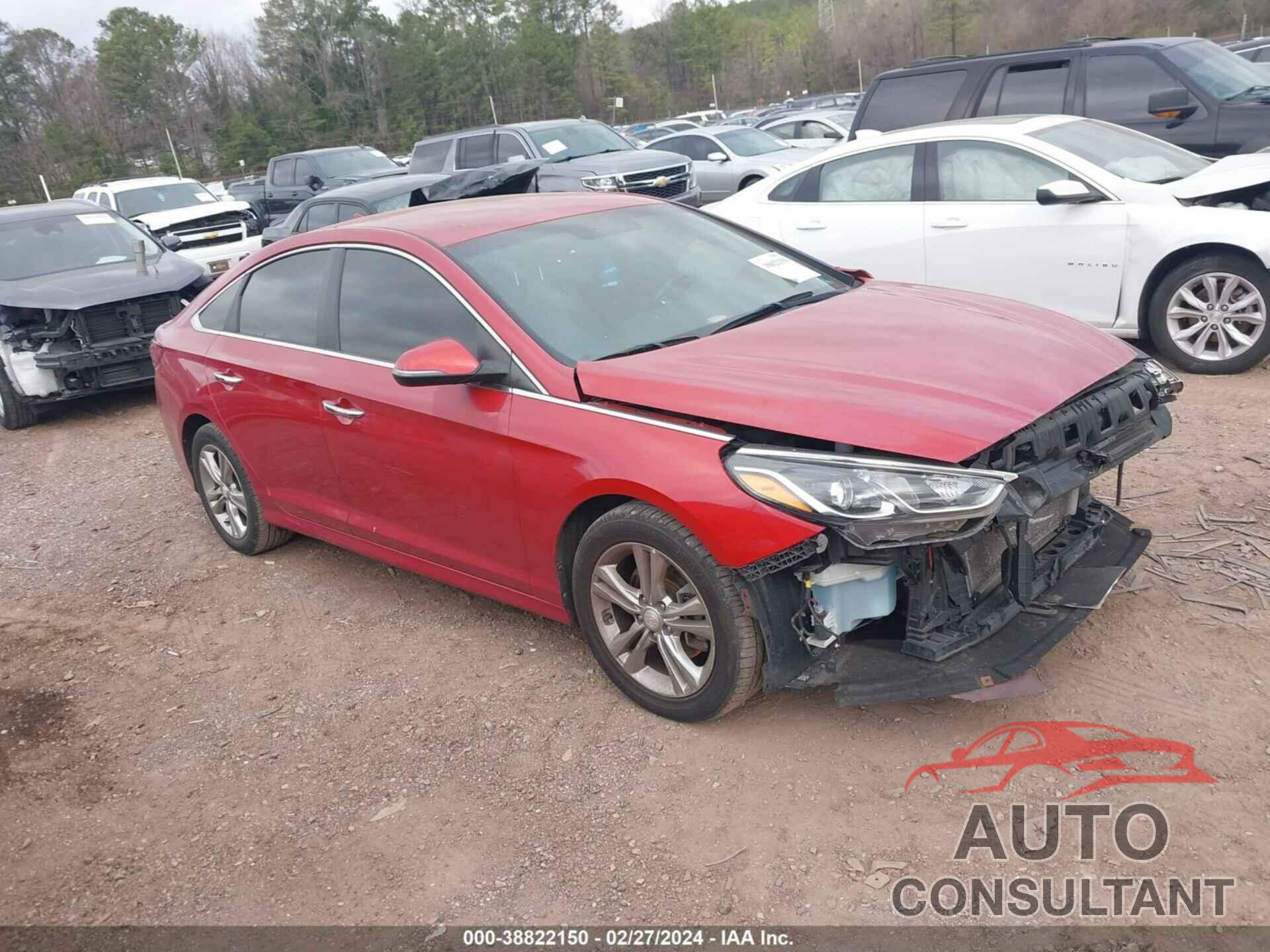 HYUNDAI SONATA 2019 - 5NPE34AF6KH772502
