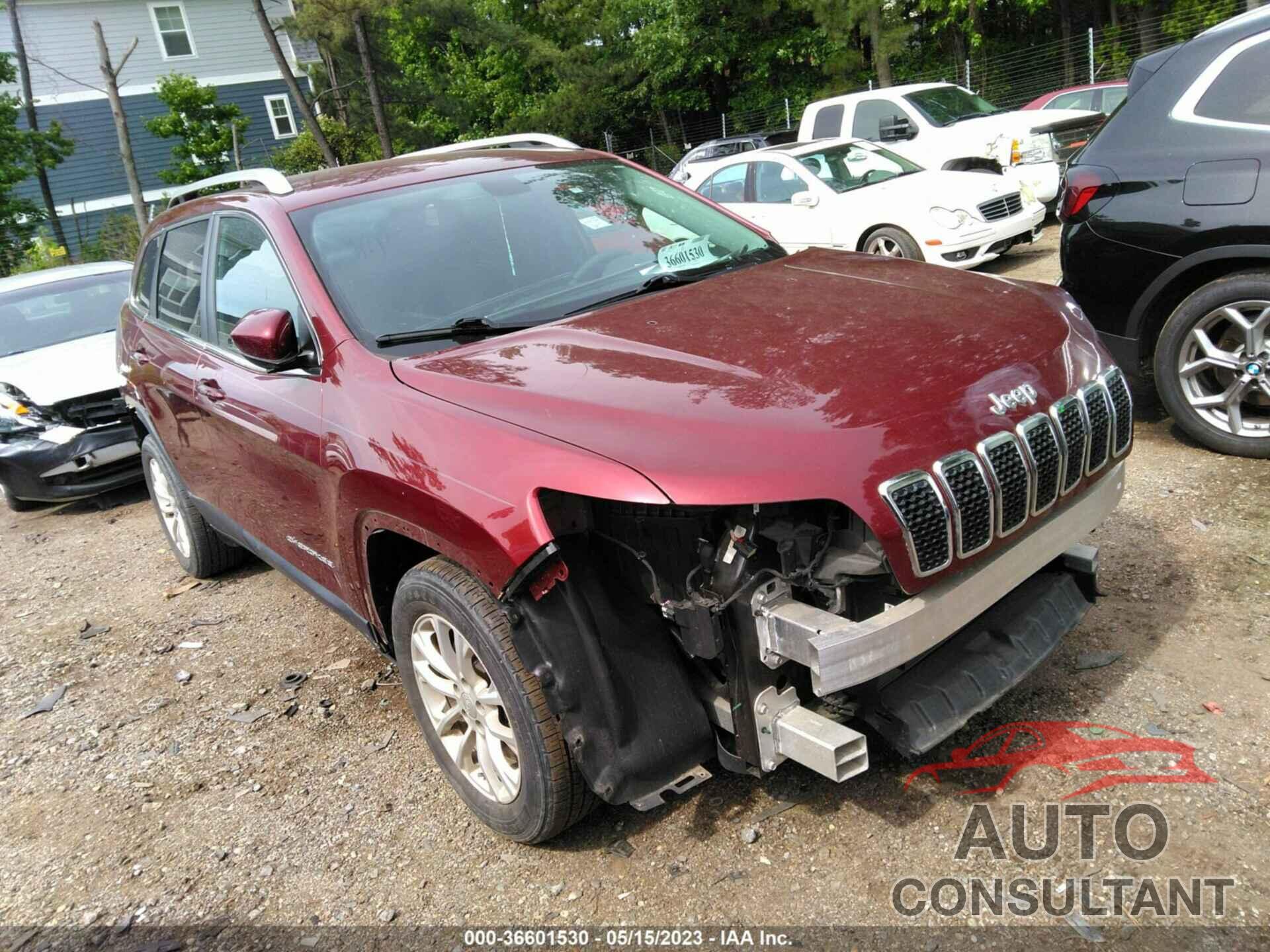 JEEP CHEROKEE 2019 - 1C4PJLCBXKD466556