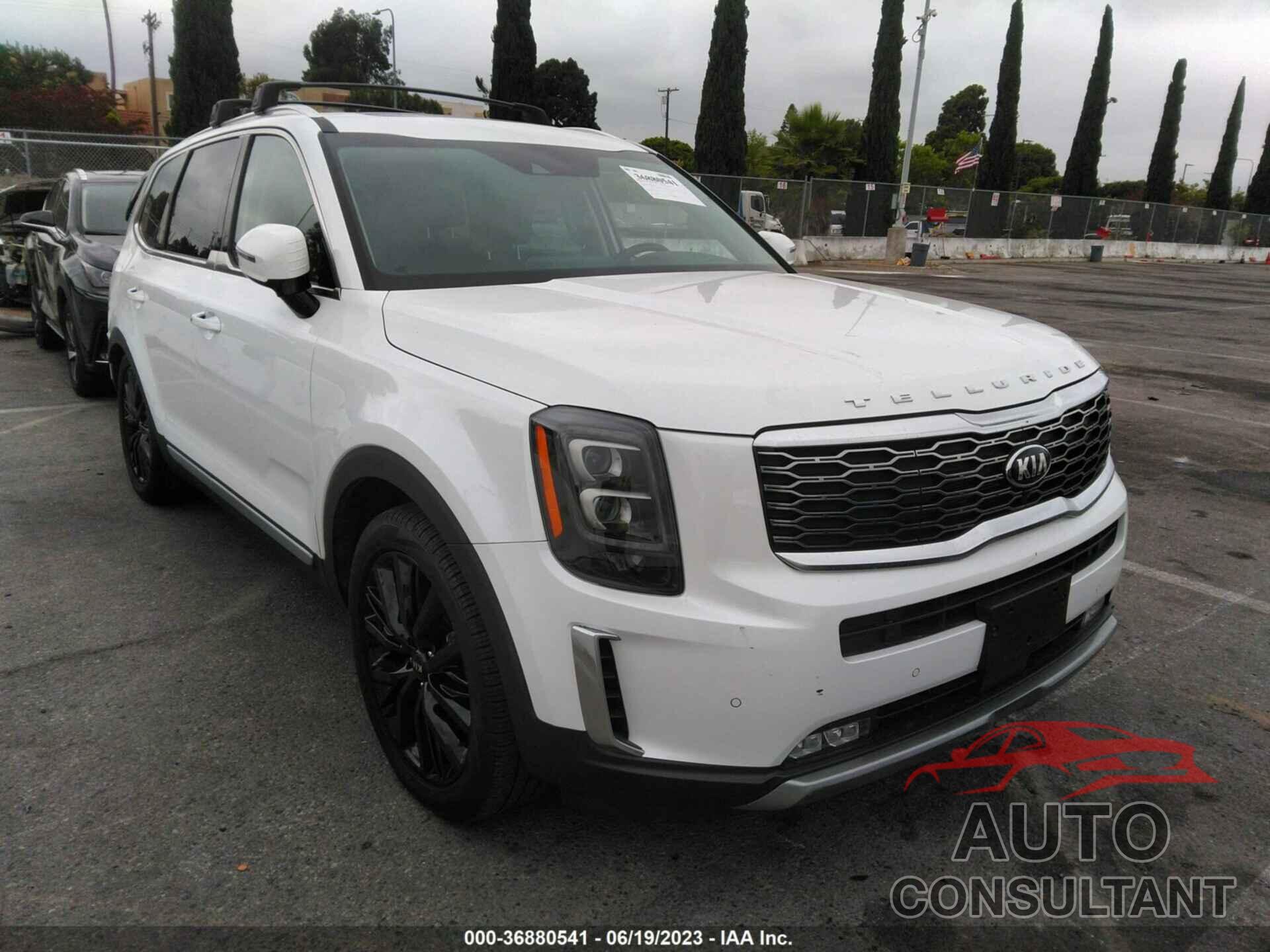 KIA TELLURIDE 2020 - 5XYP54HCXLG085627